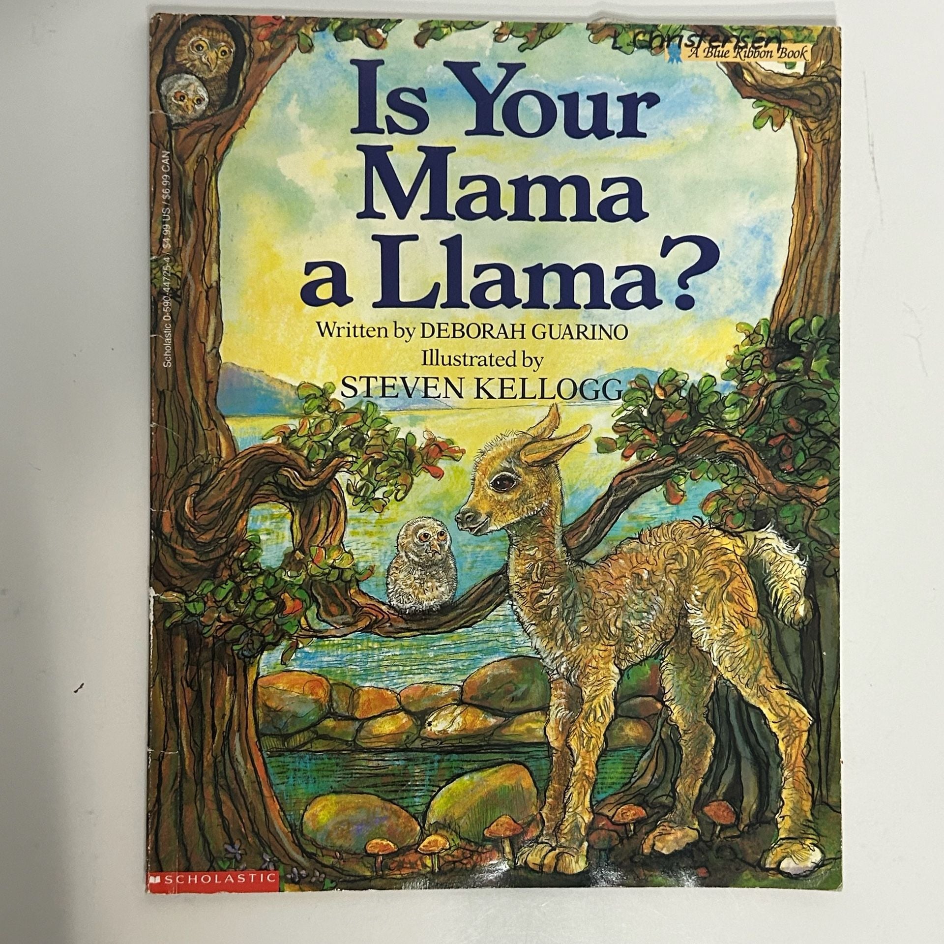 Lot of 11 Childrens Animal Picture Books 22