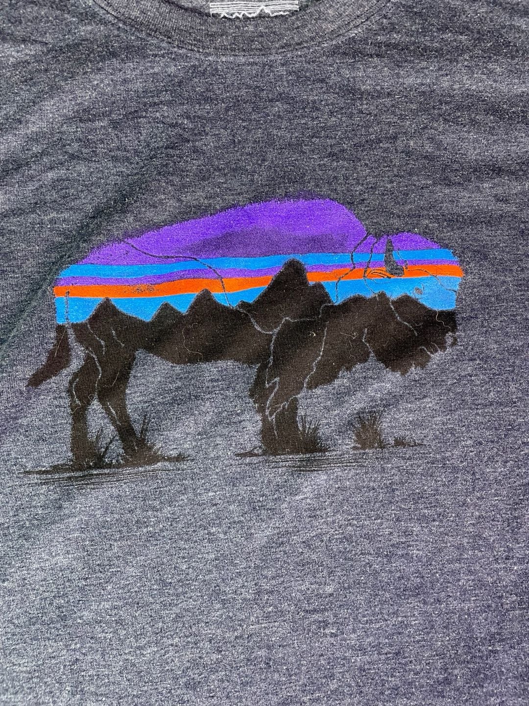 Patagonia Fitz Roy Bison Long Sleeve T-Shirt Size L Gray 6