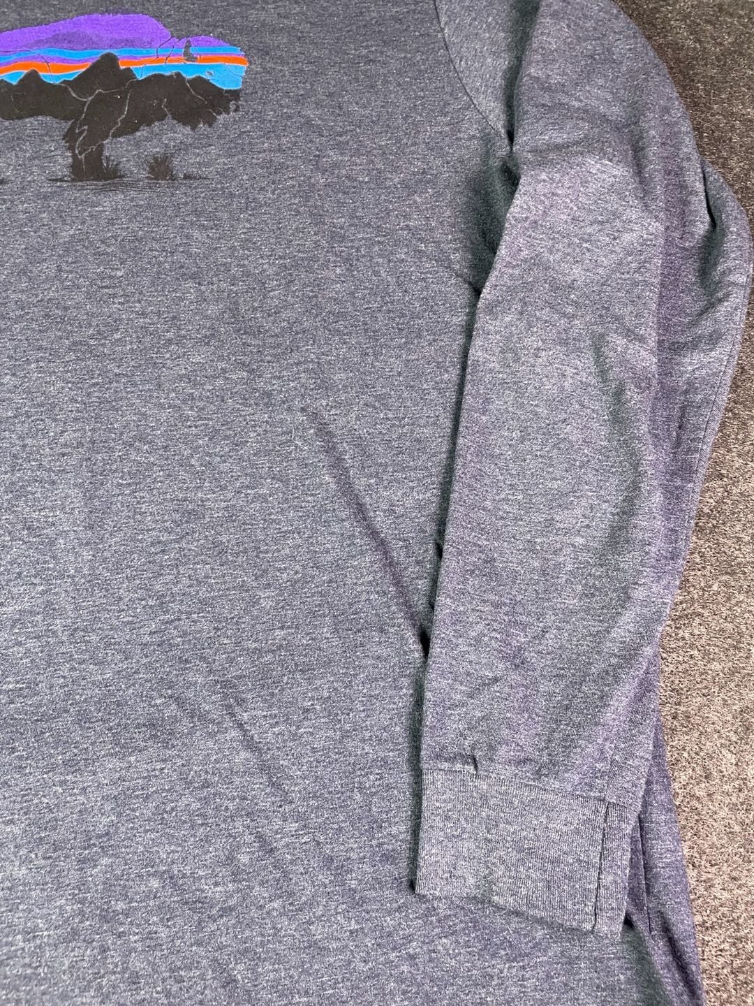 Patagonia Fitz Roy Bison Long Sleeve T-Shirt Size L Gray 8