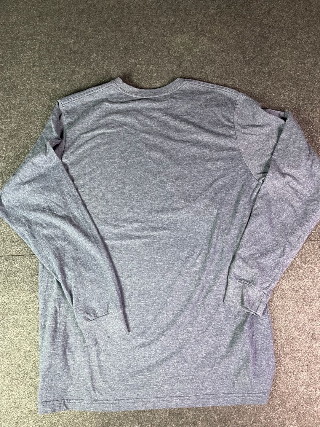 Patagonia Fitz Roy Bison Long Sleeve T-Shirt Size L Gray 10