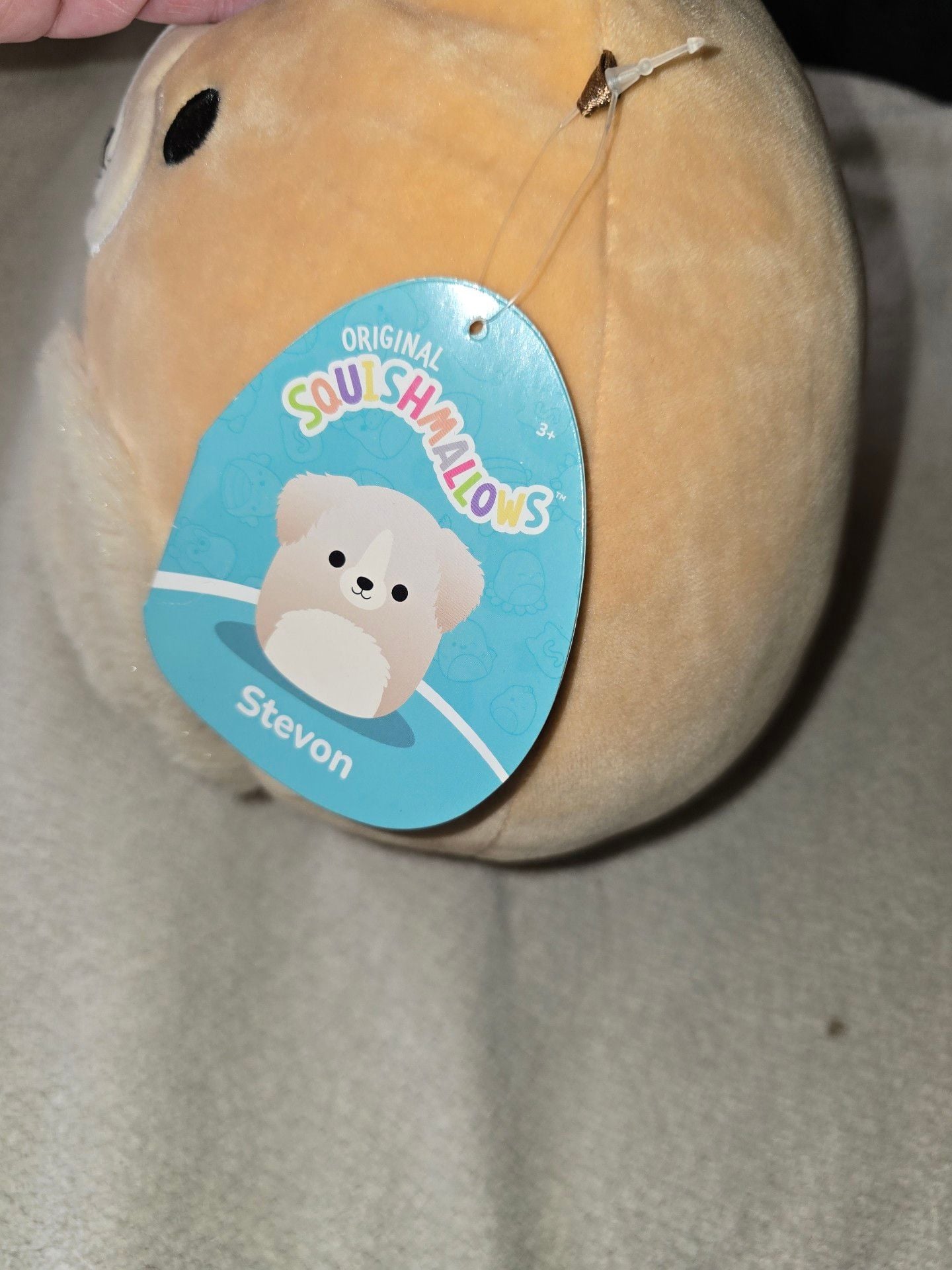 Squishmallows Stevon The Golden Retriever Dog Plush 2