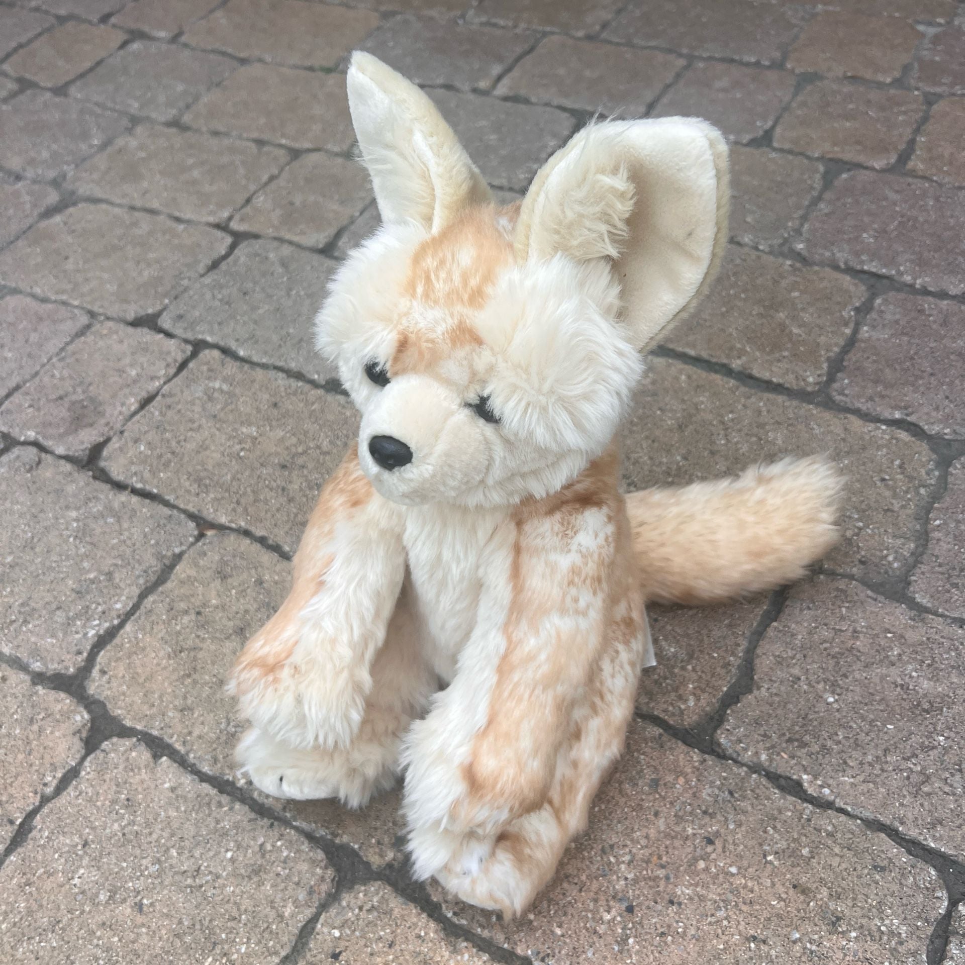 WWF Build A Bear World Wildlife Fund Fennec Fox Plush Stuffed Animal 3