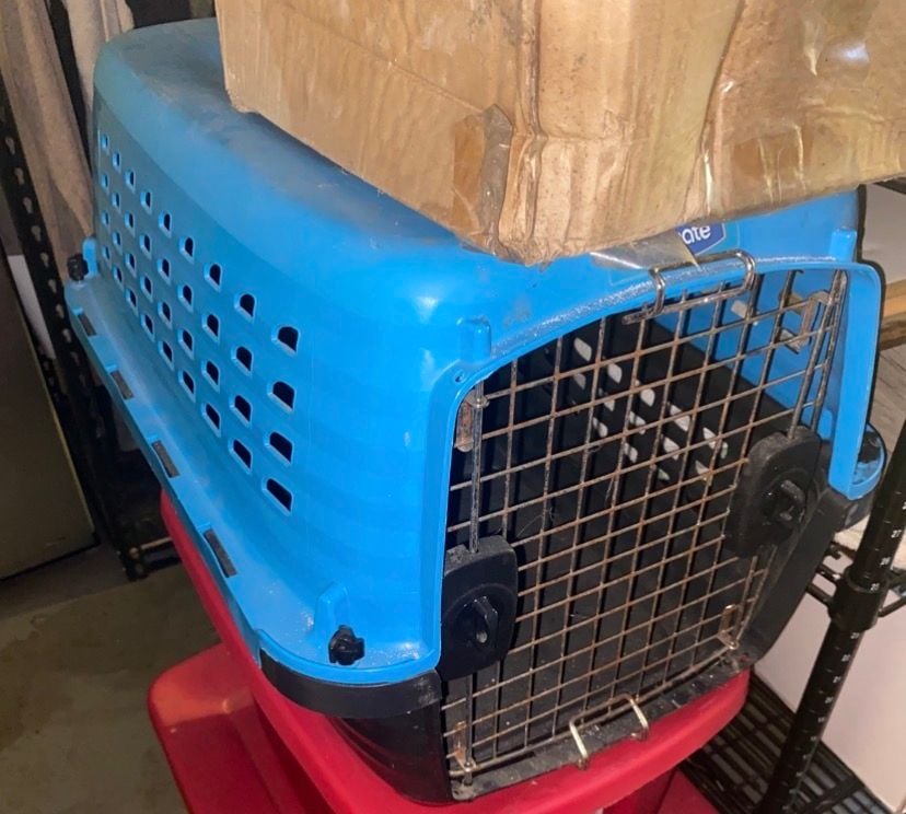 Petmate Compass Plastic Pet Carrier Blue Black 1