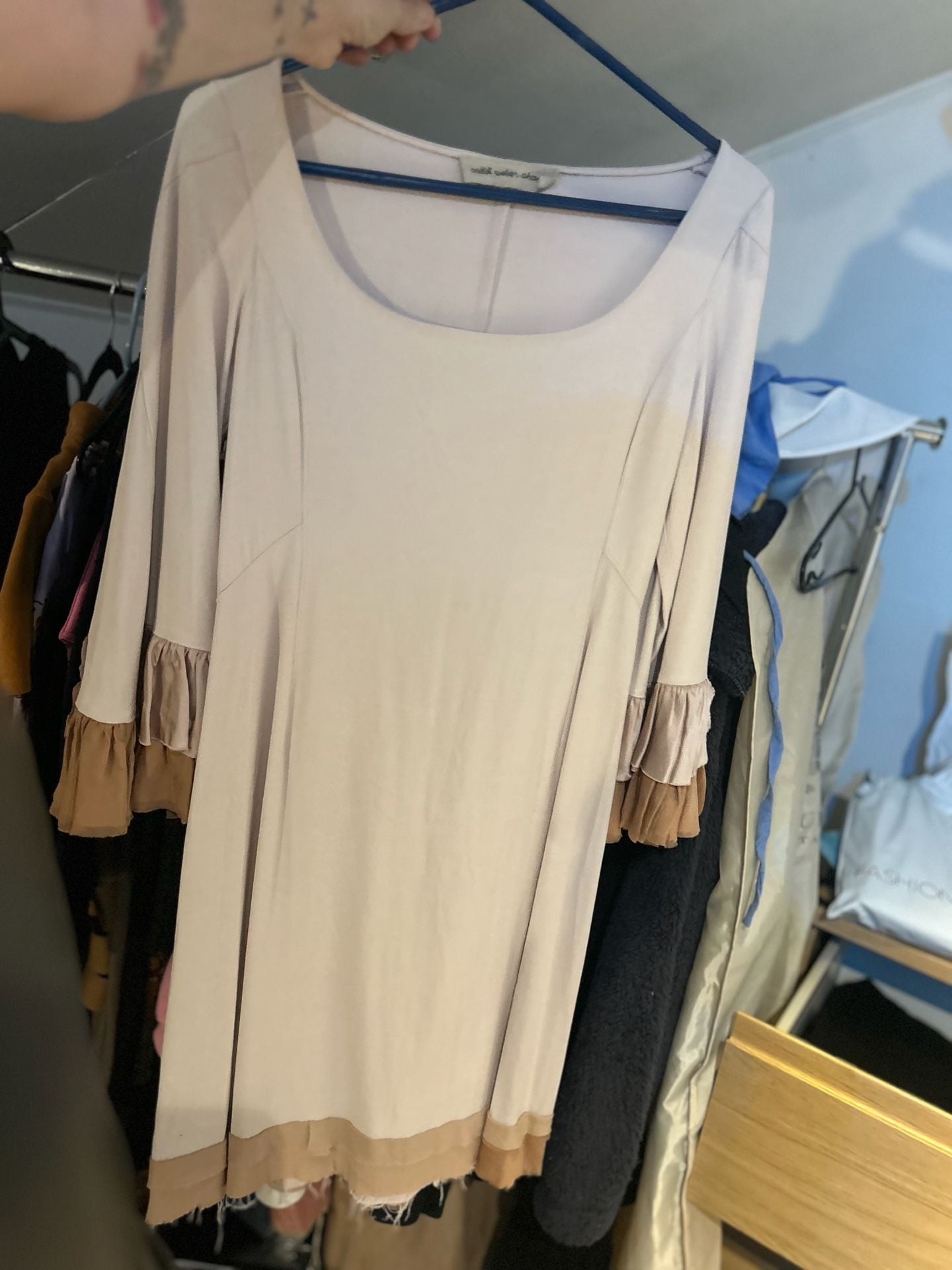 Coast Weber Ahaus Dress Beige Ruffle Sleeve 1