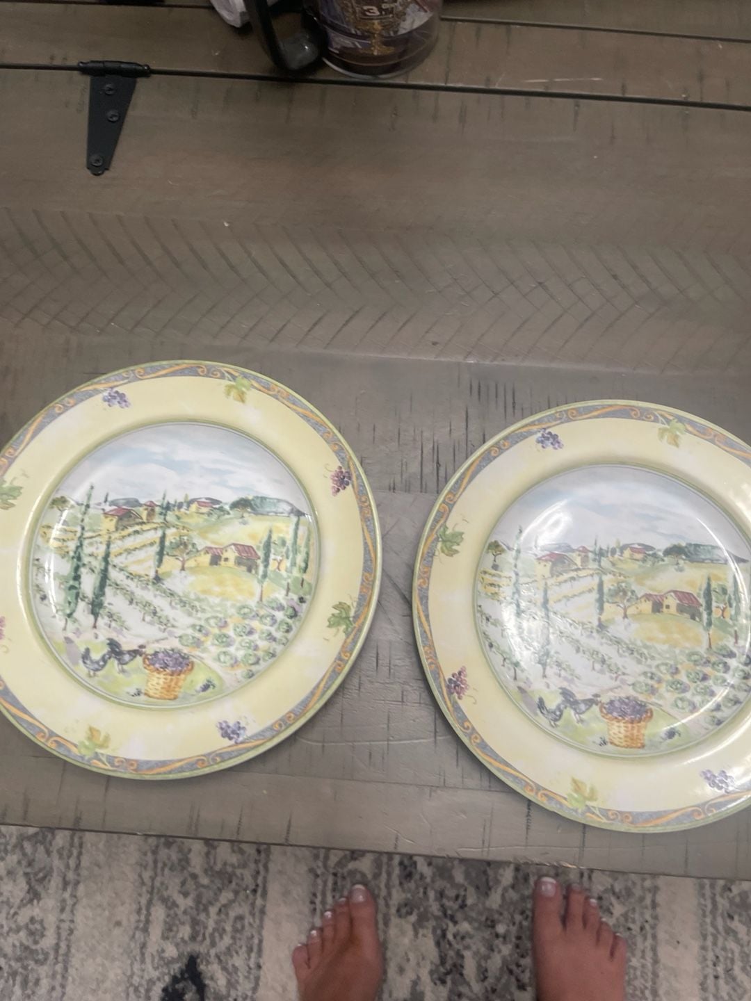 PTS International Tuscan Country Dinner Plate Vineyard Scene 7
