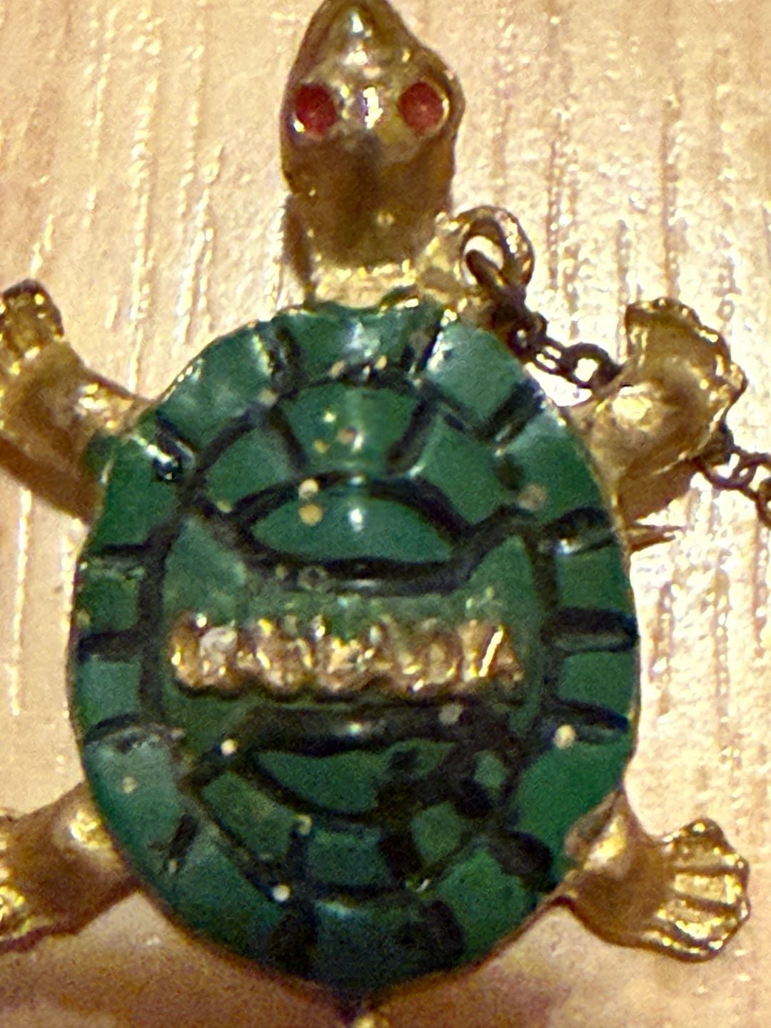 Vintage Penticton BC Canada Turtle Maple Leaf Brooch 2