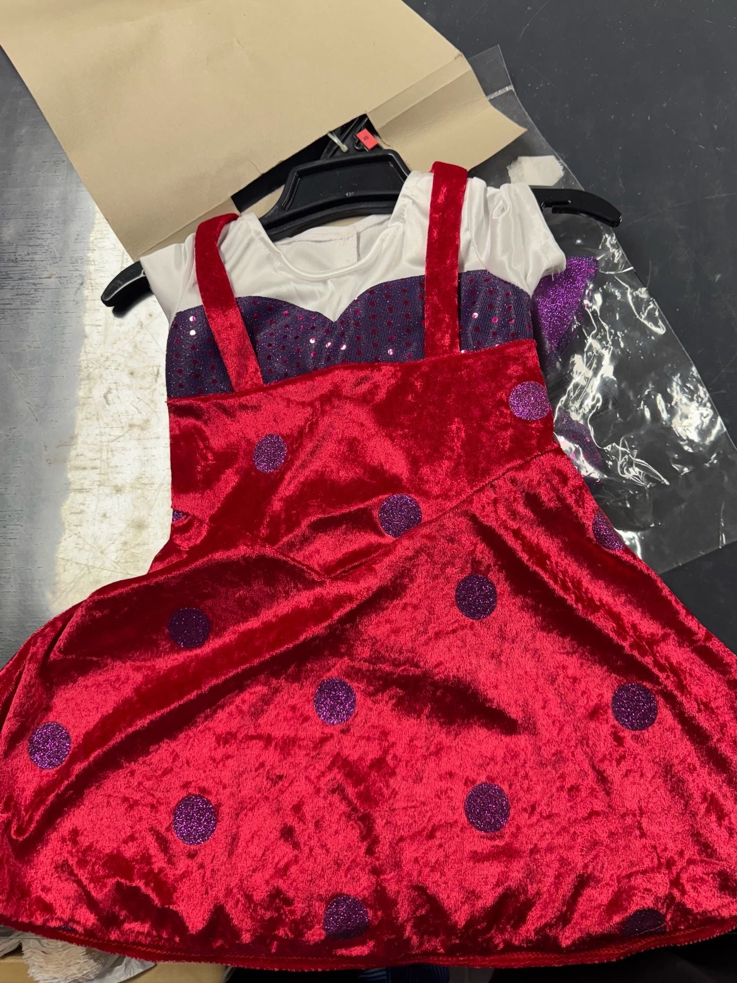 Riley Boxy Girls Child Costume Size Extra Small 2-4 4