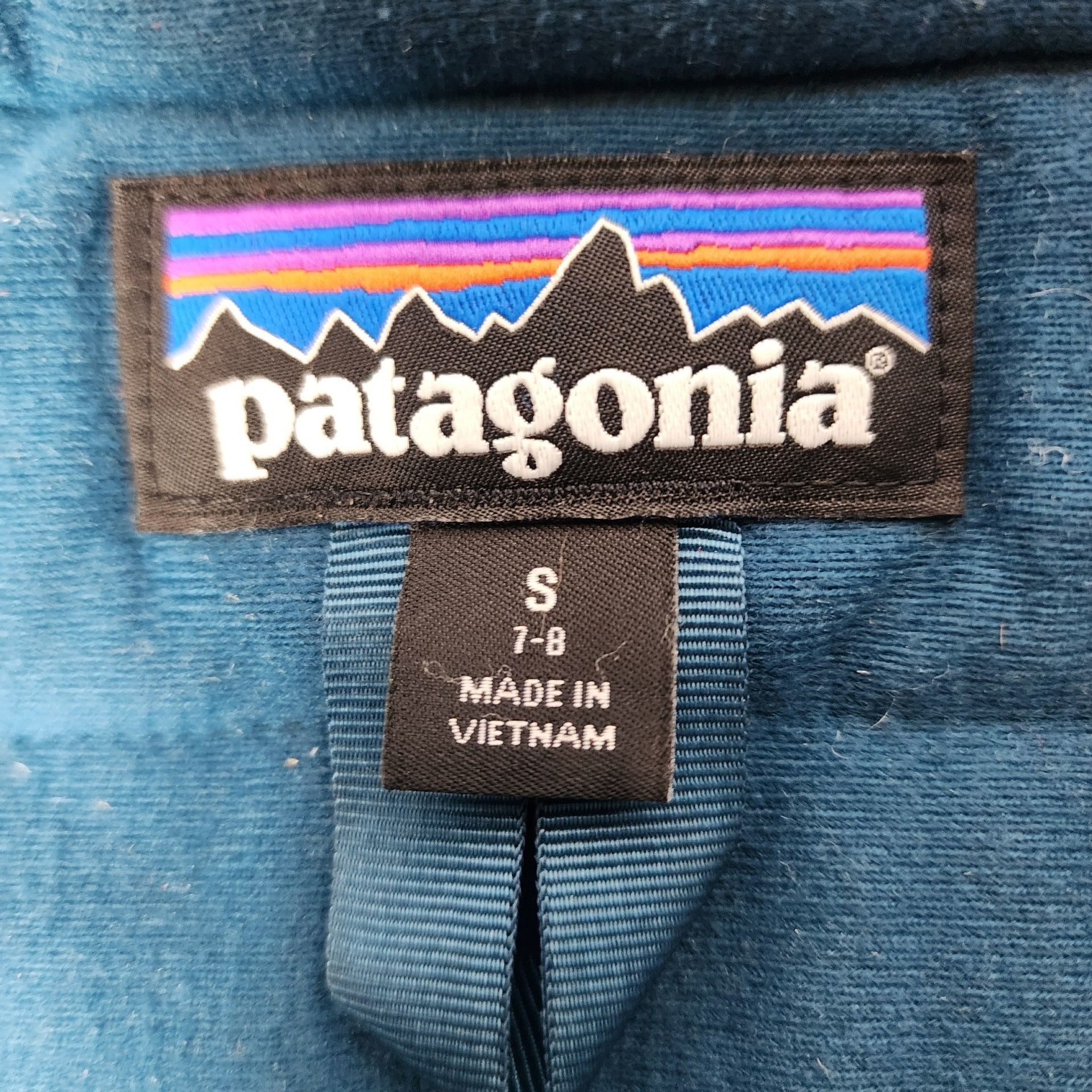 Youth Patagonia Snowshot Ski Jacket (Size 7-8 / Small) - SARS 2022 Alpine Team 8