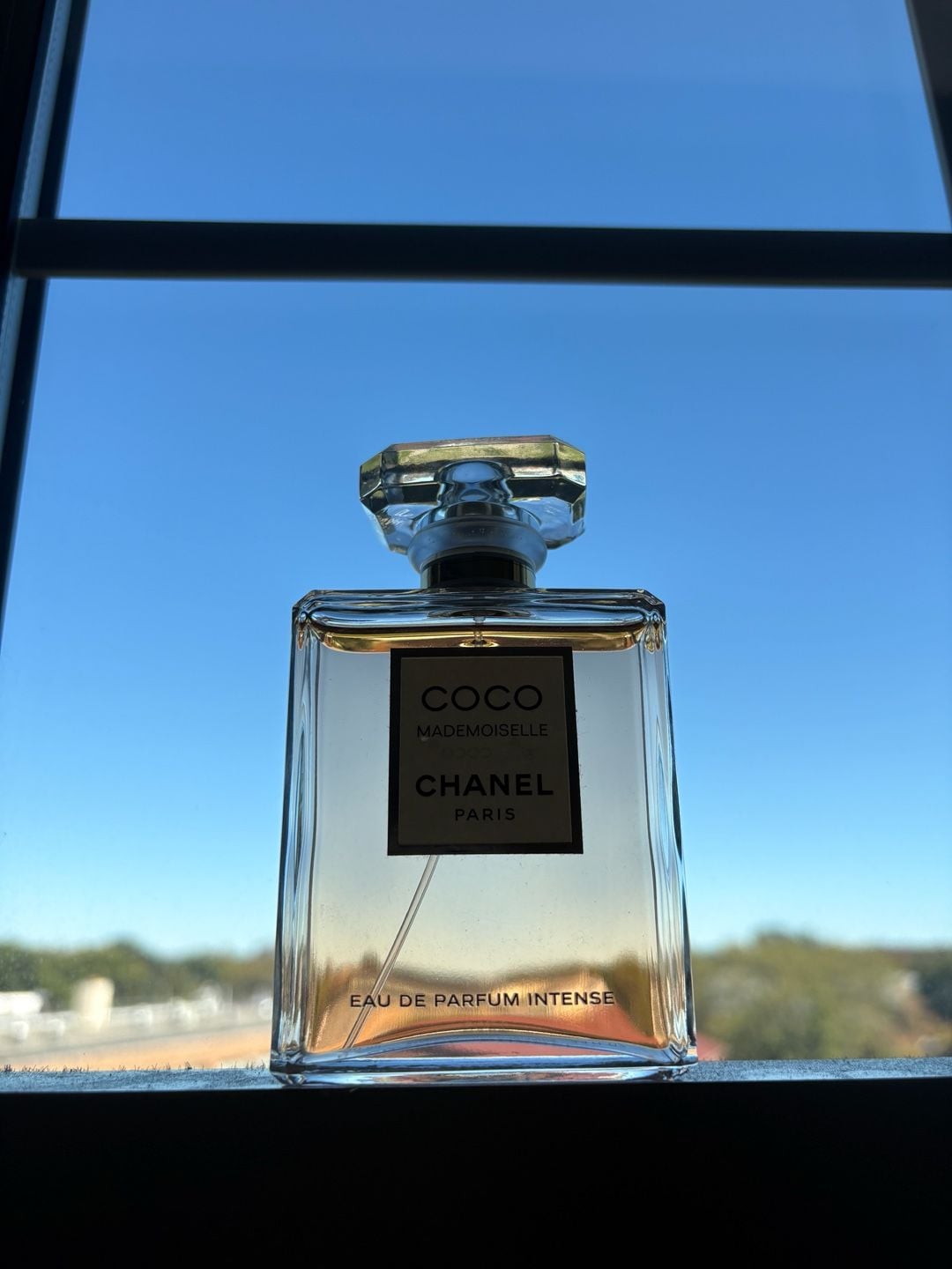 Chanel Coco Mademoiselle Intense Eau de Parfum 3.4 Fl. Oz. 100 ml 1