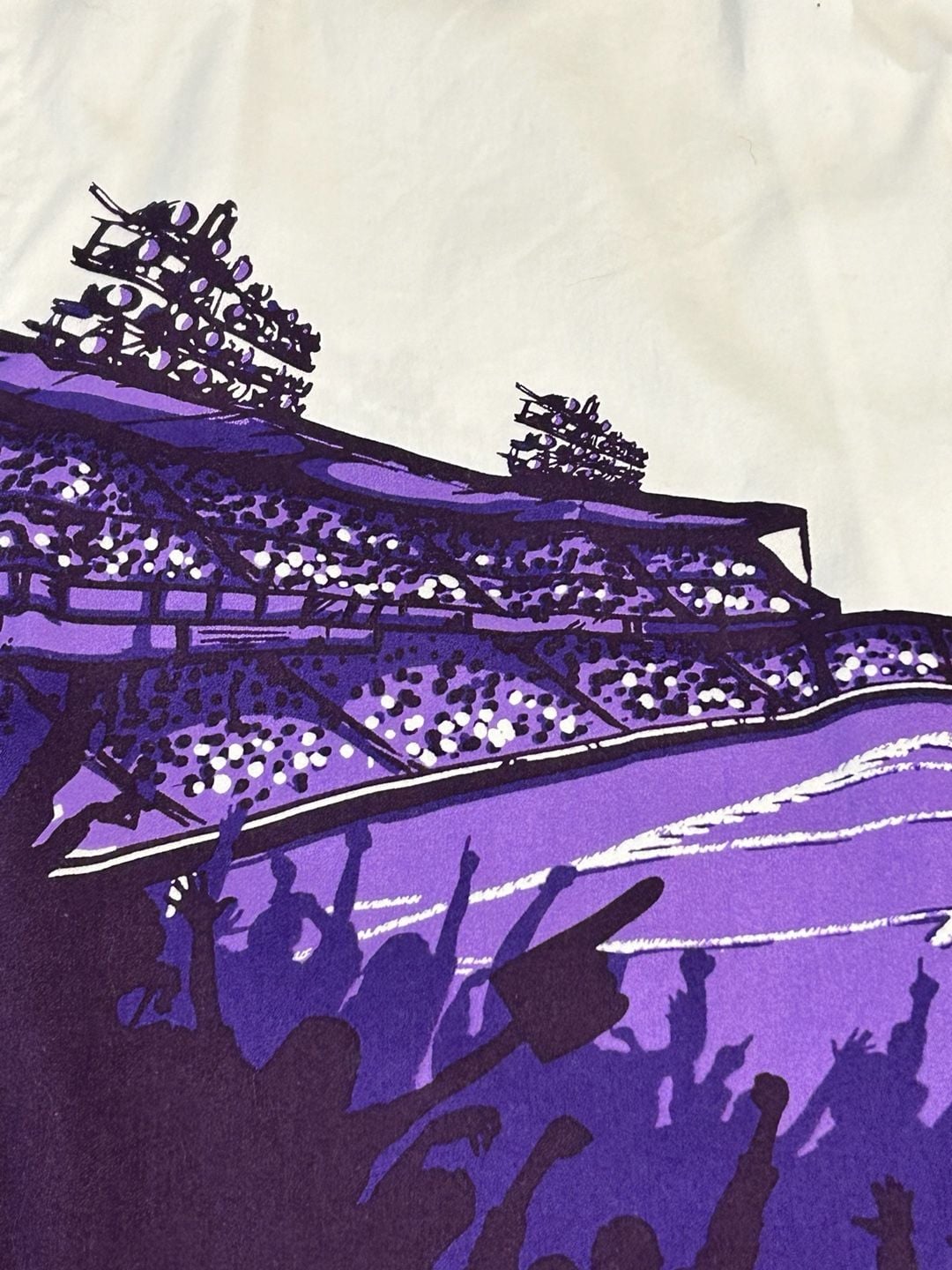 Chiliwear LSU Tigers Size M Button-Down Stadium Graphic Camp Shirt 7