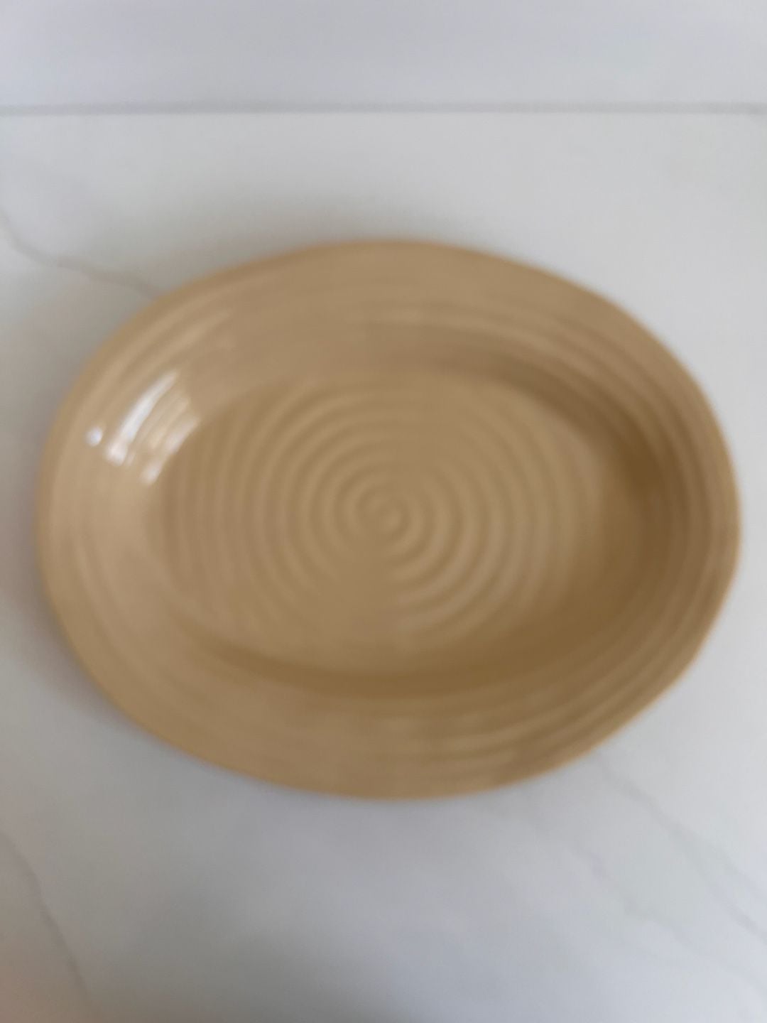 Portmeirion Sophie Conran Biscuit Oval Serving Platter 14 Inch Beige 6