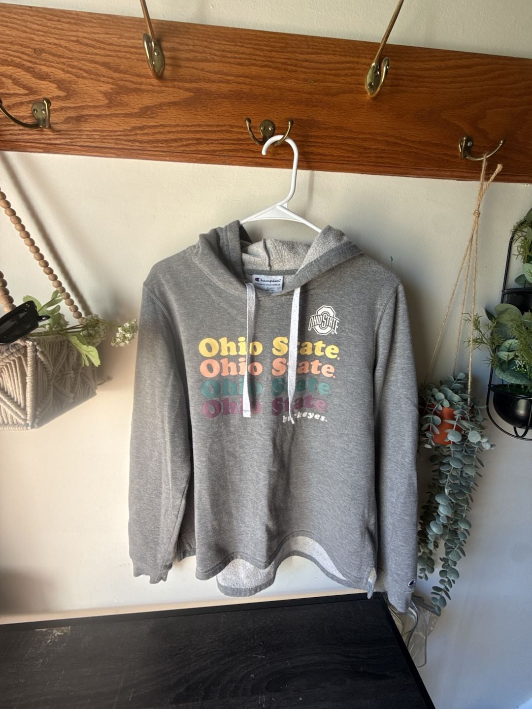 Champion Ohio State Buckeyes Hoodie Size L Gray 2