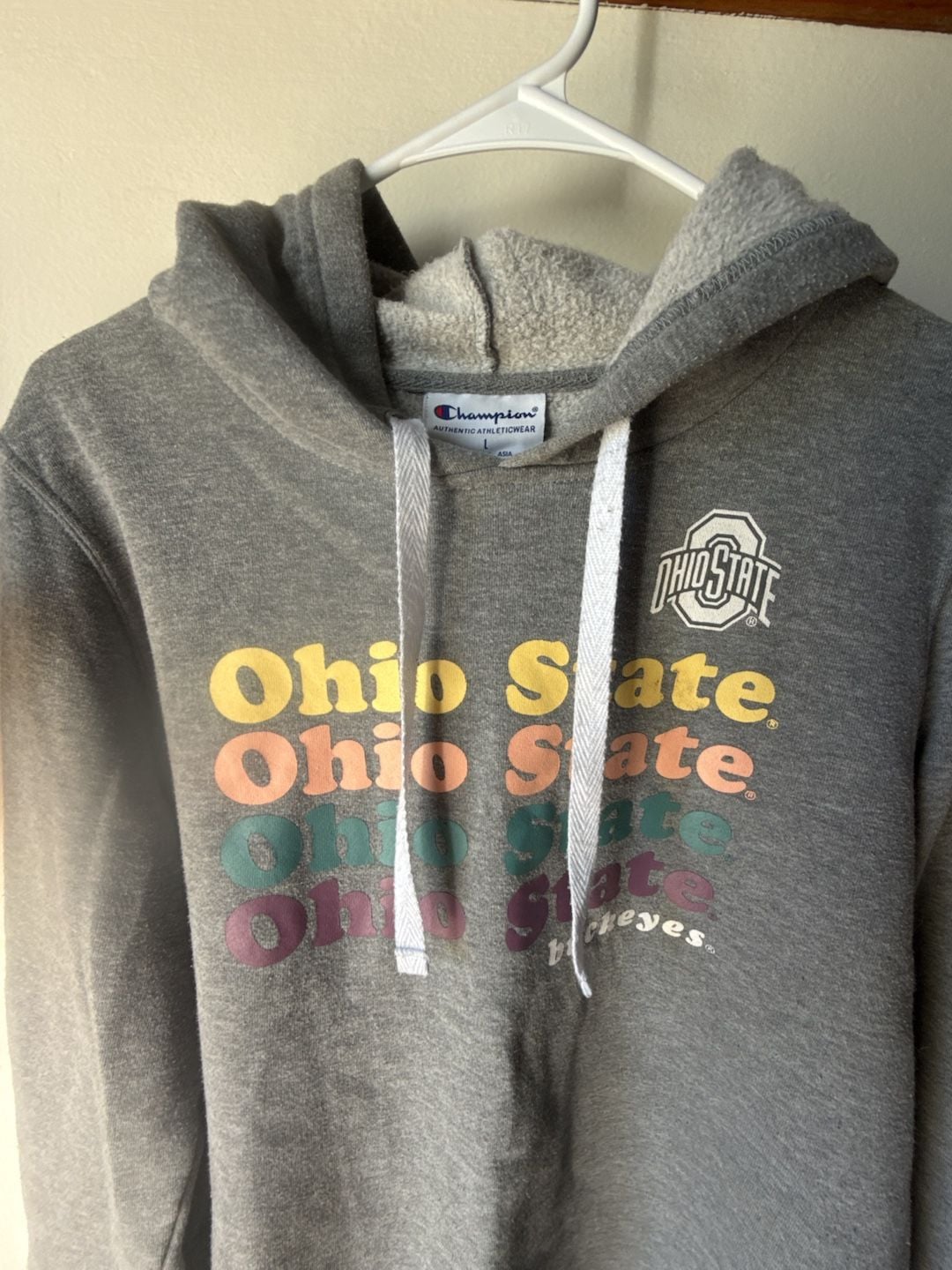 Champion Ohio State Buckeyes Hoodie Size L Gray 4