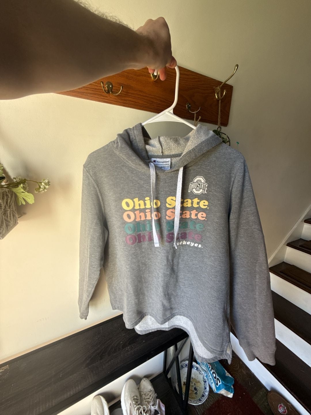 Champion Ohio State Buckeyes Hoodie Size L Gray 6