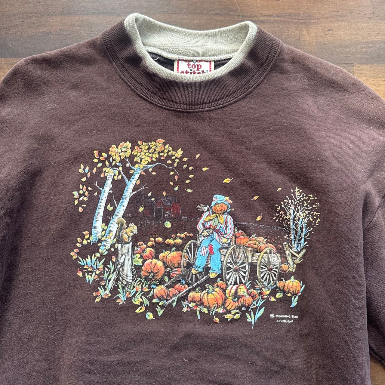 Top Stitch By Morning Sun Sweatshirt Size Medium Brown Pumpkin 3