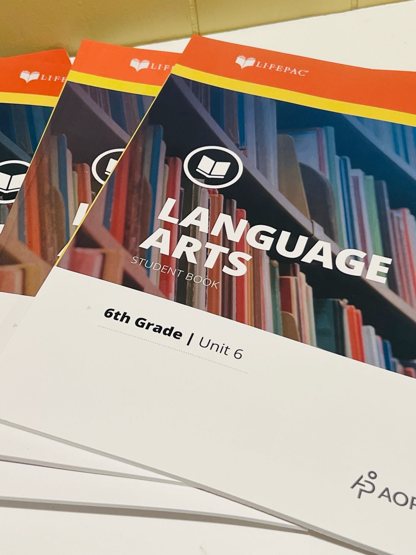 LIFEPAC Language Arts 6th Grade Unit 6-10 & Teacher Guide 2