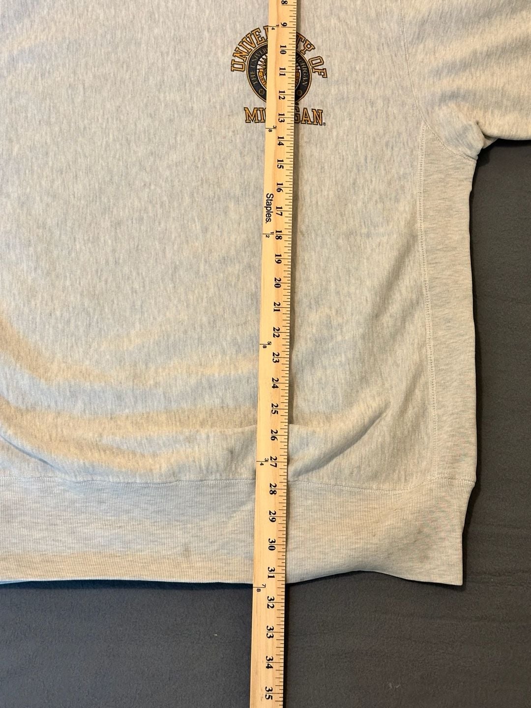 Rebel University of Michigan Heavyweight Sweatshirt Size L Grey 10