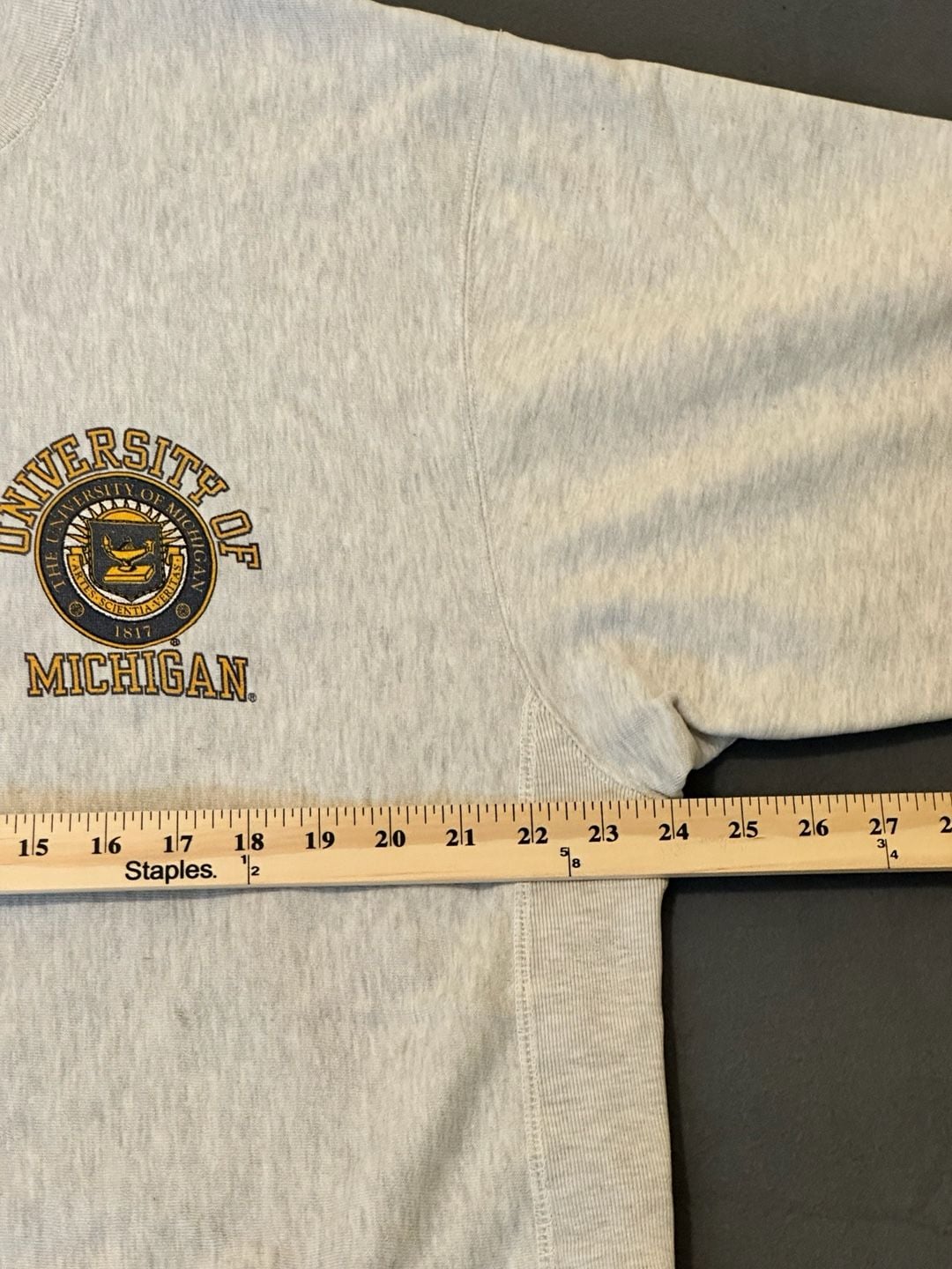 Rebel University of Michigan Heavyweight Sweatshirt Size L Grey 12