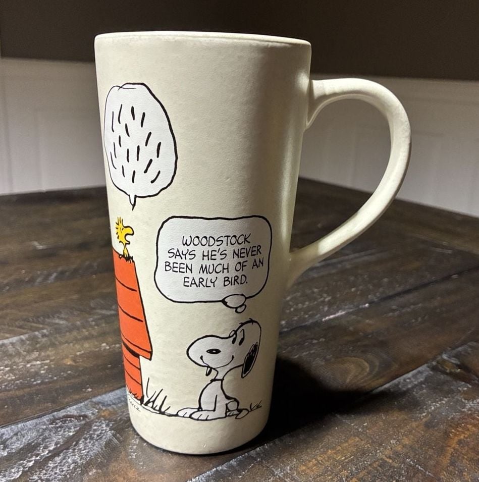 Hallmark Peanuts Snoopy Wrong Side Of The Doghouse Coffee Mug 1