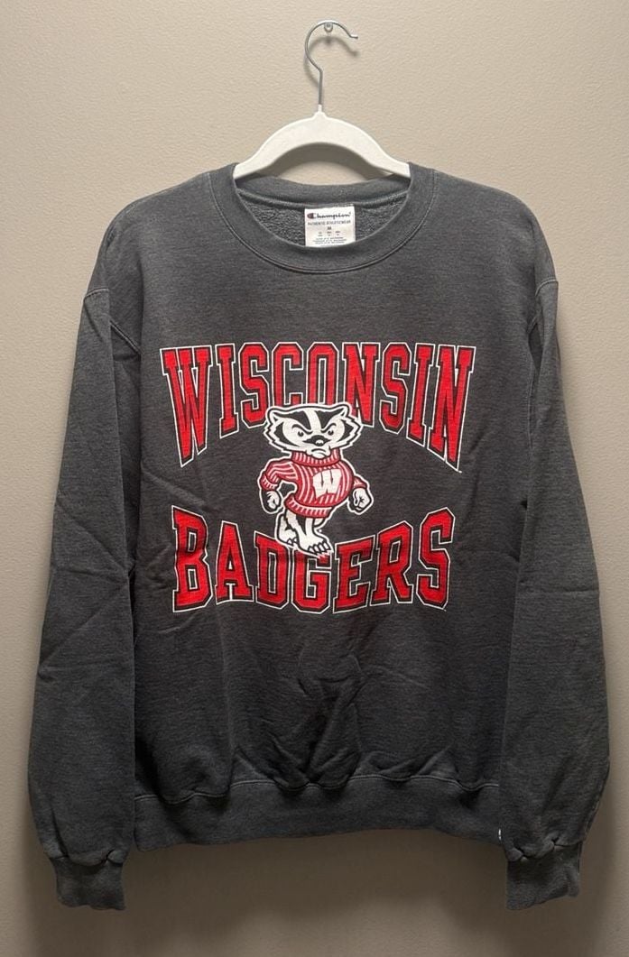 Champion Wisconsin Badgers Sweatshirt Size M Gray Crewneck Pullover 2
