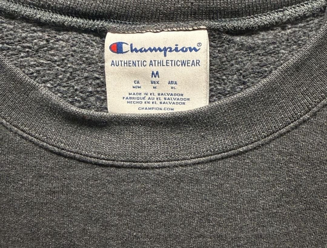 Champion Wisconsin Badgers Sweatshirt Size M Gray Crewneck Pullover 3