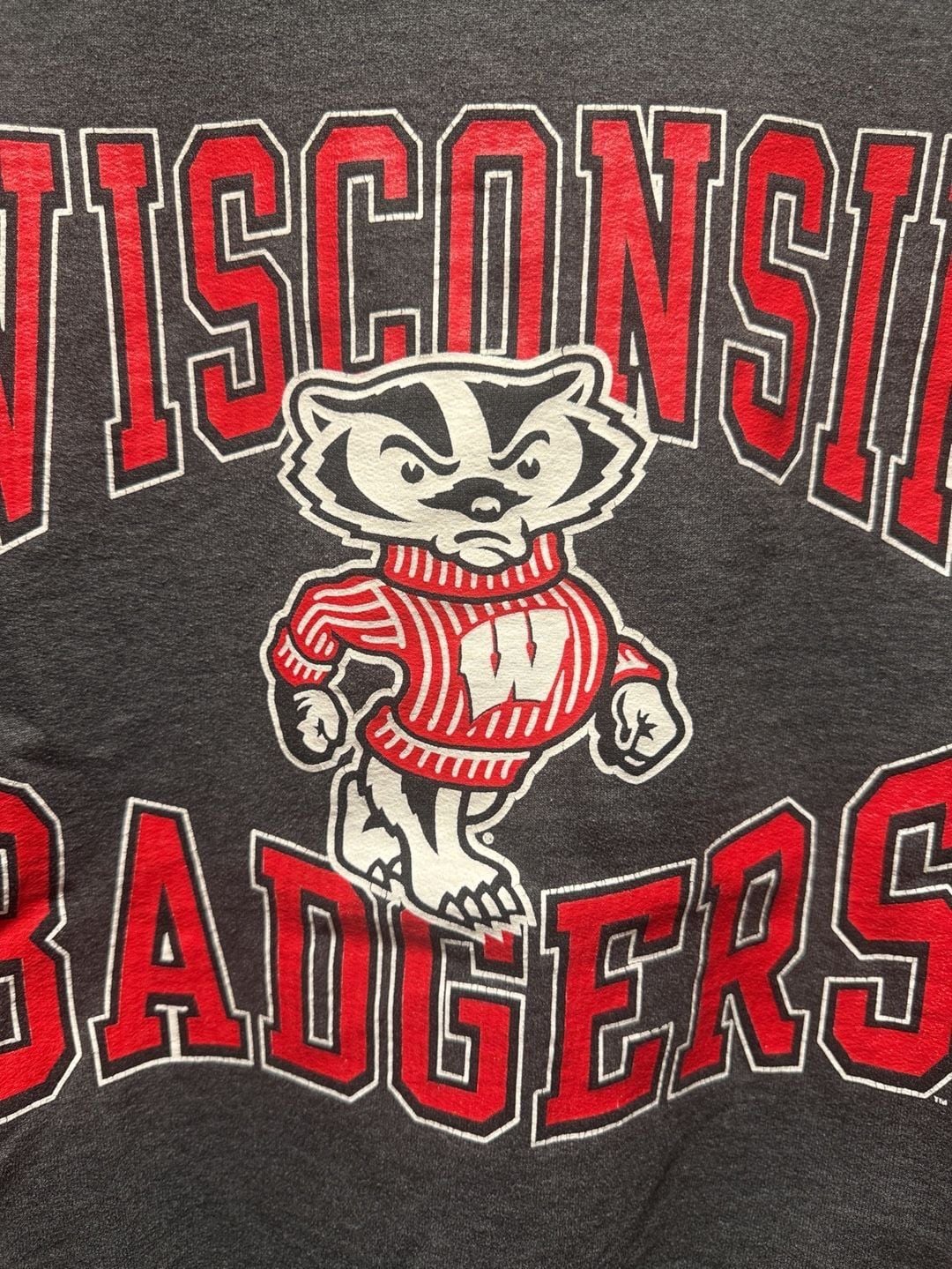 Champion Wisconsin Badgers Sweatshirt Size M Gray Crewneck Pullover 4