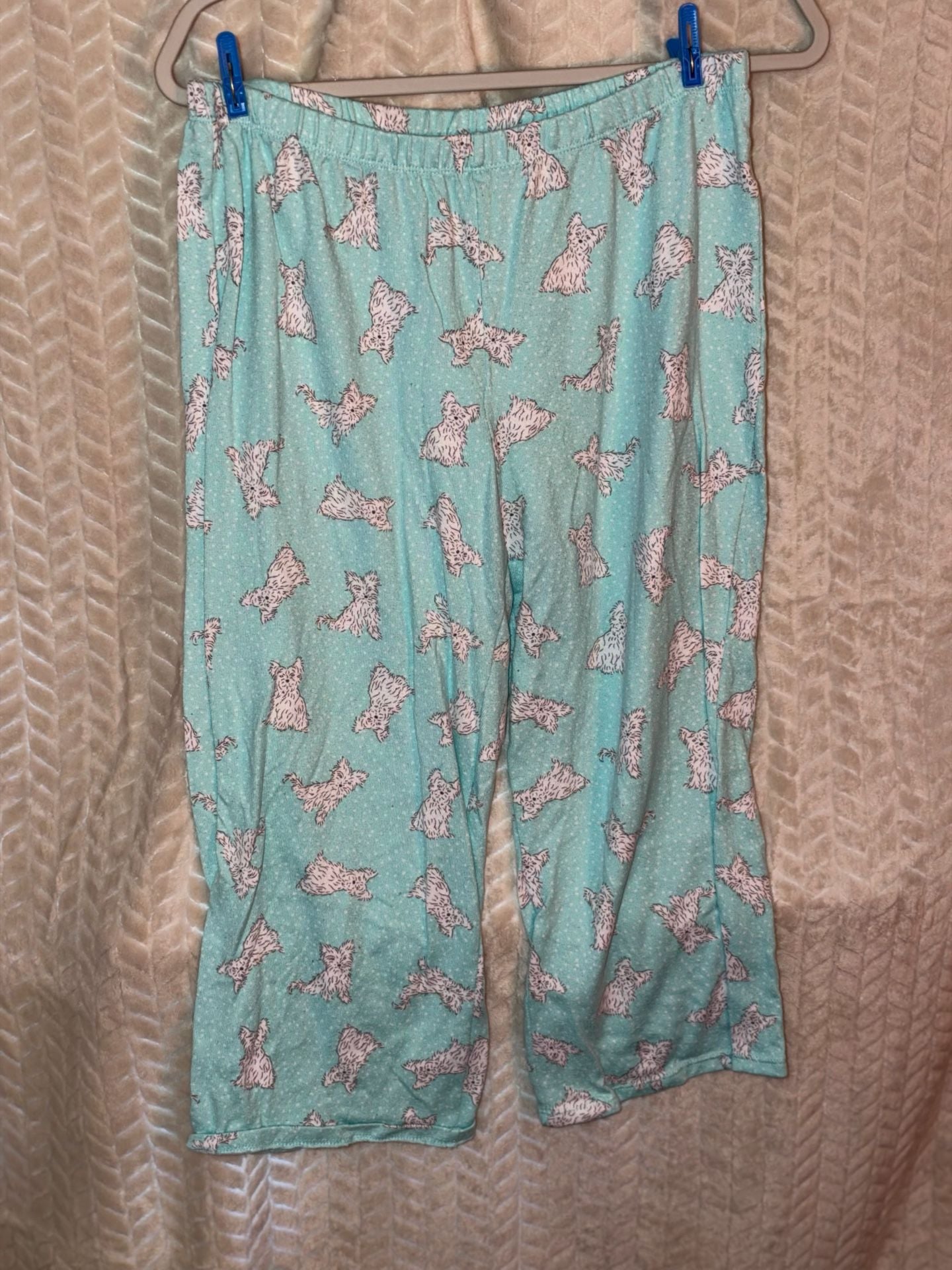 Secret Treasures Pajama Set Size M (8-10) Turquoise Dog Print 4