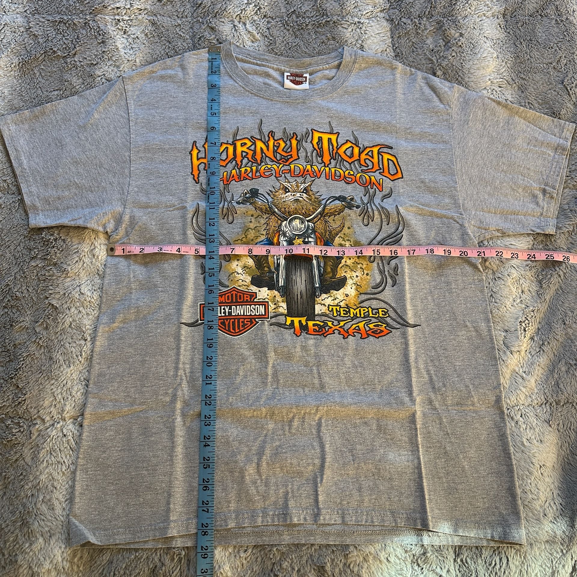 Large Harley-Davidson Horny Toad Temple Texas Graphic T-Shirt Gray 2