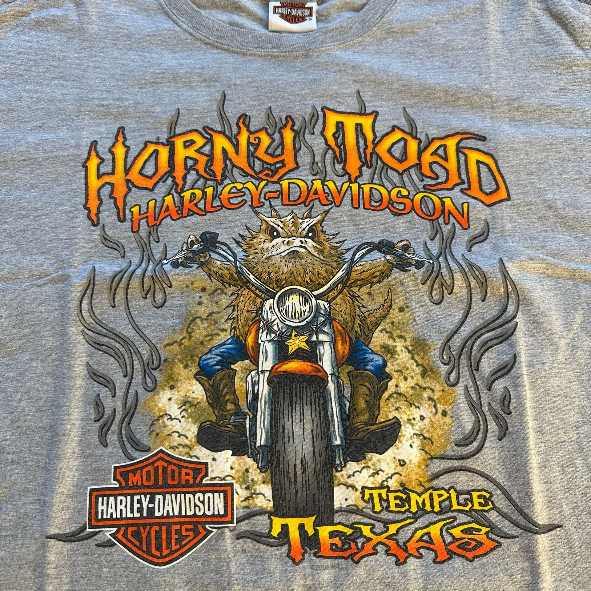 Large Harley-Davidson Horny Toad Temple Texas Graphic T-Shirt Gray 3