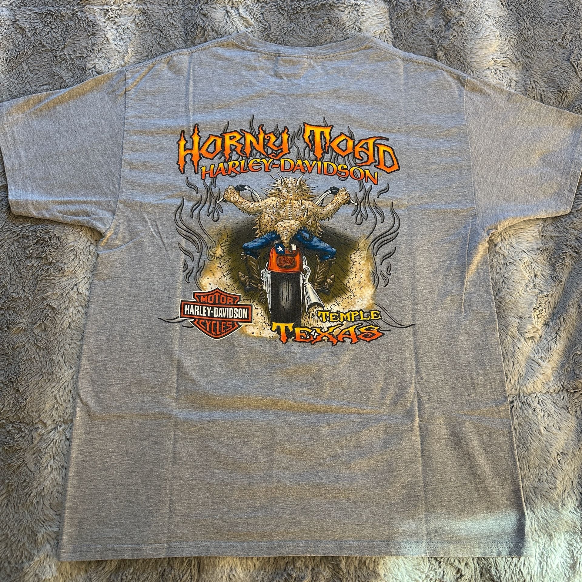 Large Harley-Davidson Horny Toad Temple Texas Graphic T-Shirt Gray 4
