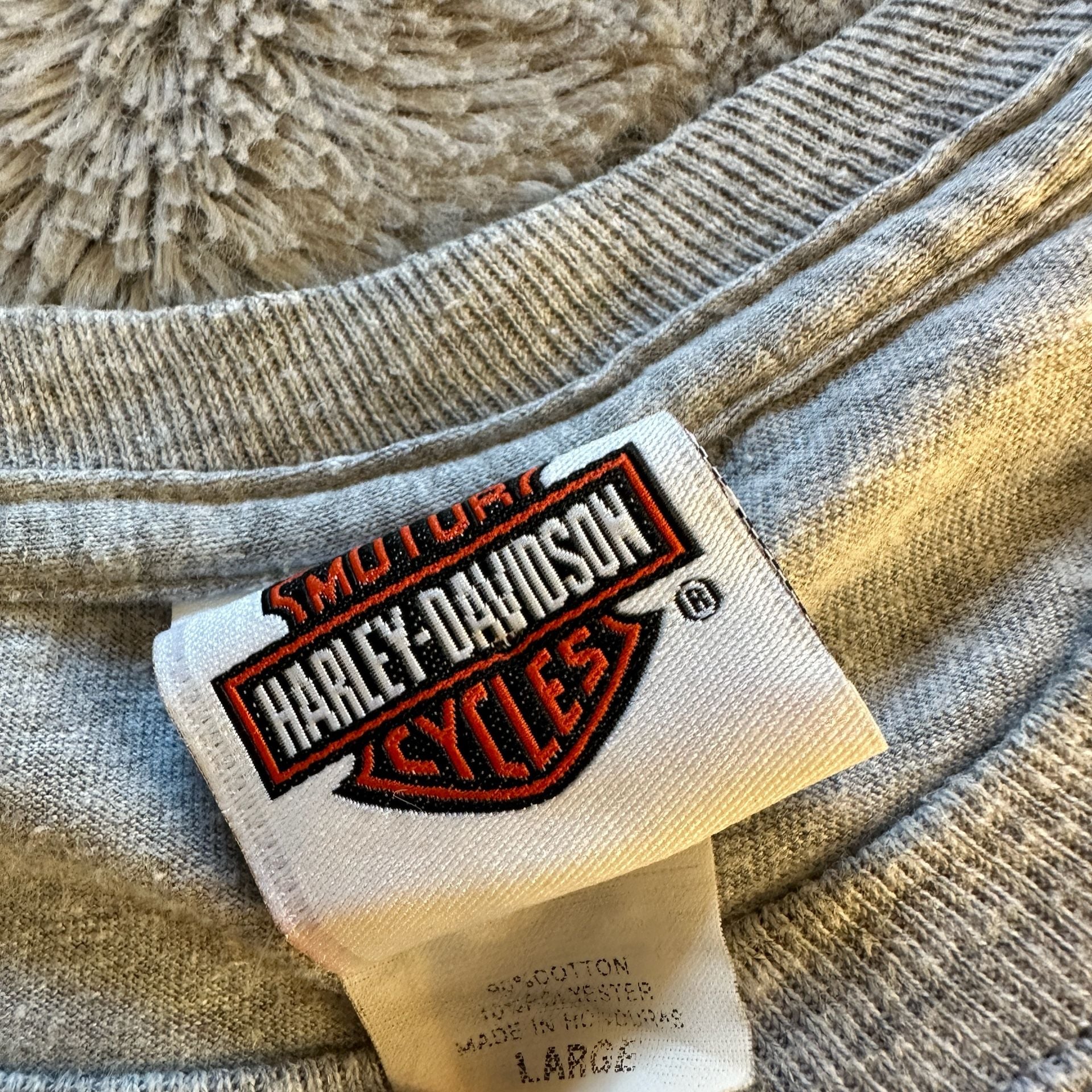 Large Harley-Davidson Horny Toad Temple Texas Graphic T-Shirt Gray 5