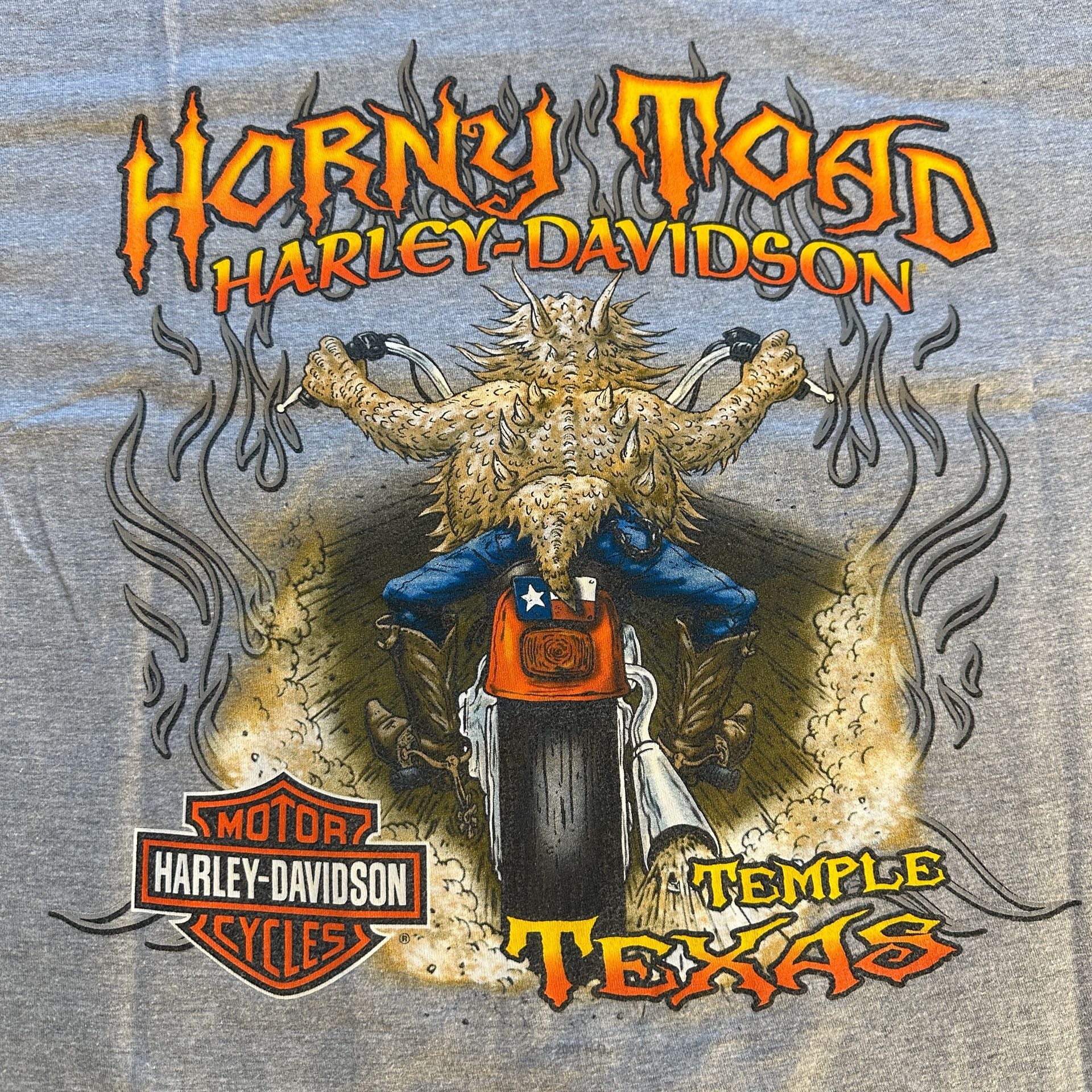 Large Harley-Davidson Horny Toad Temple Texas Graphic T-Shirt Gray 6