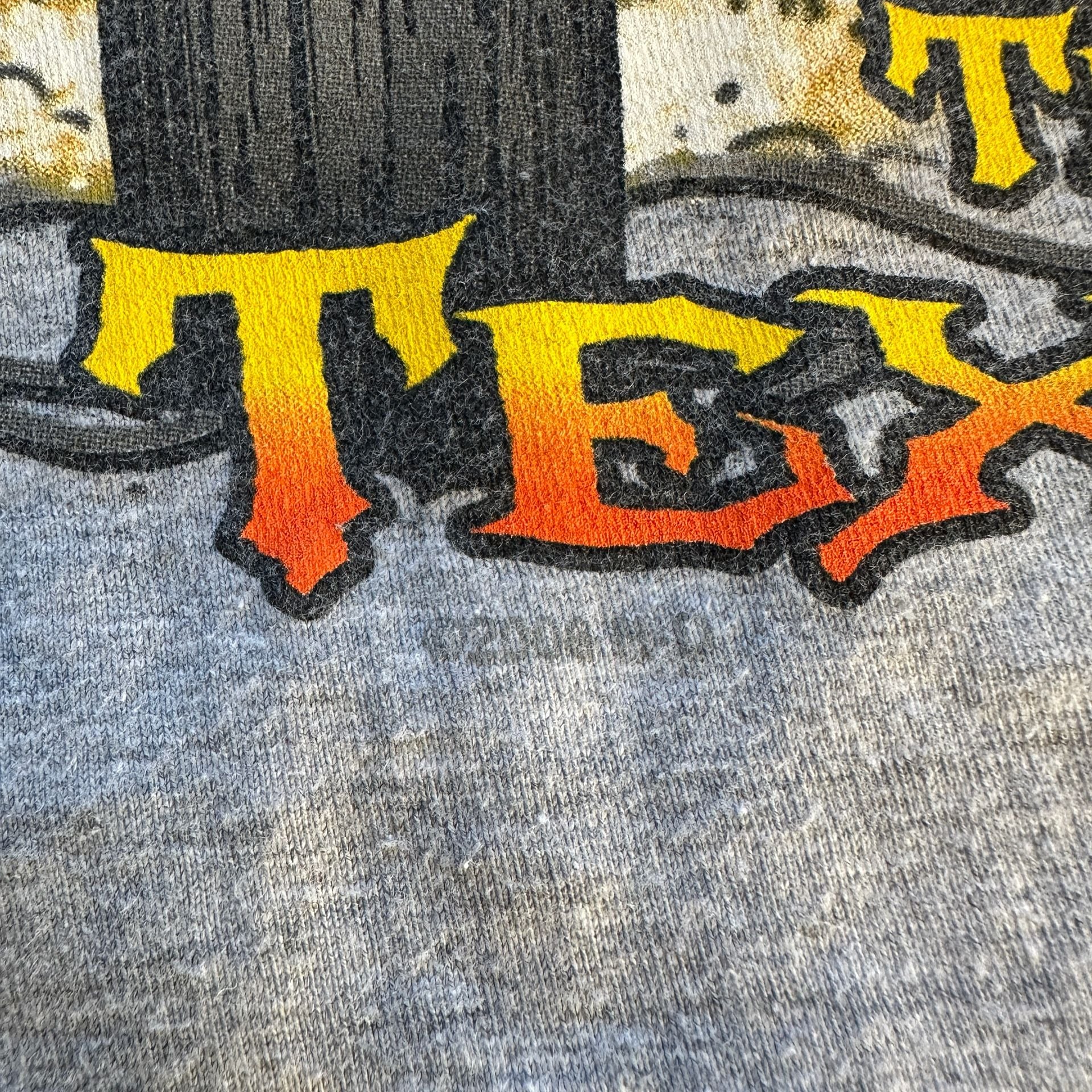 Large Harley-Davidson Horny Toad Temple Texas Graphic T-Shirt Gray 7