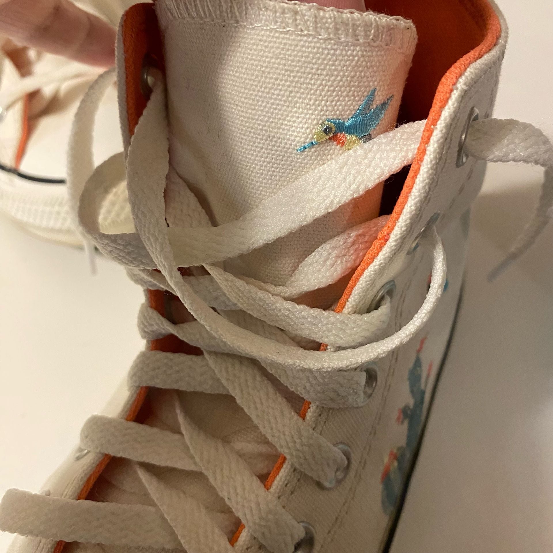 Converse Chuck Taylor All Star High Succulent Embroidery White 11