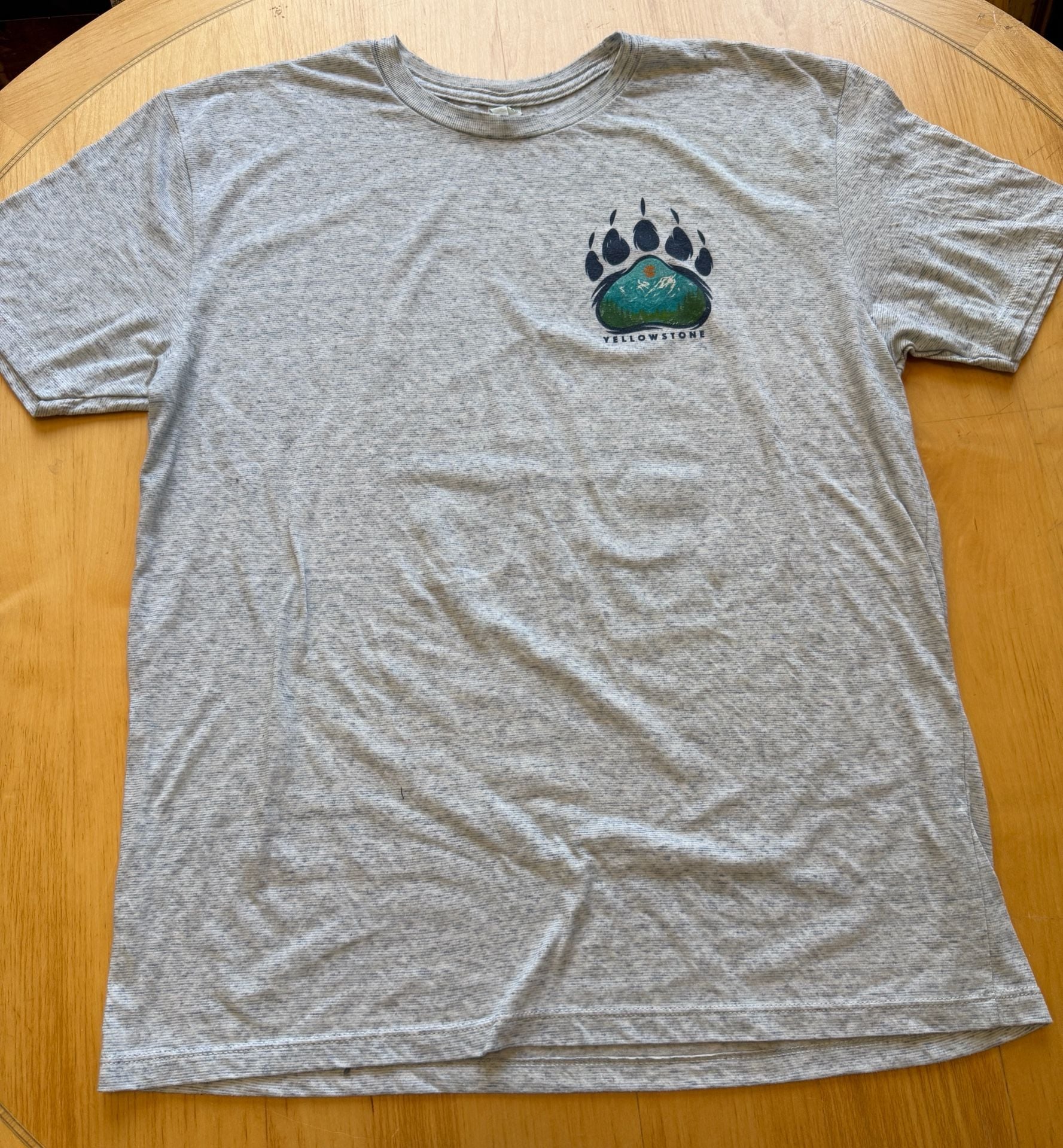 Pacific Yellowstone National Park T-Shirt Size L Gray Bear Paw Mountain 3