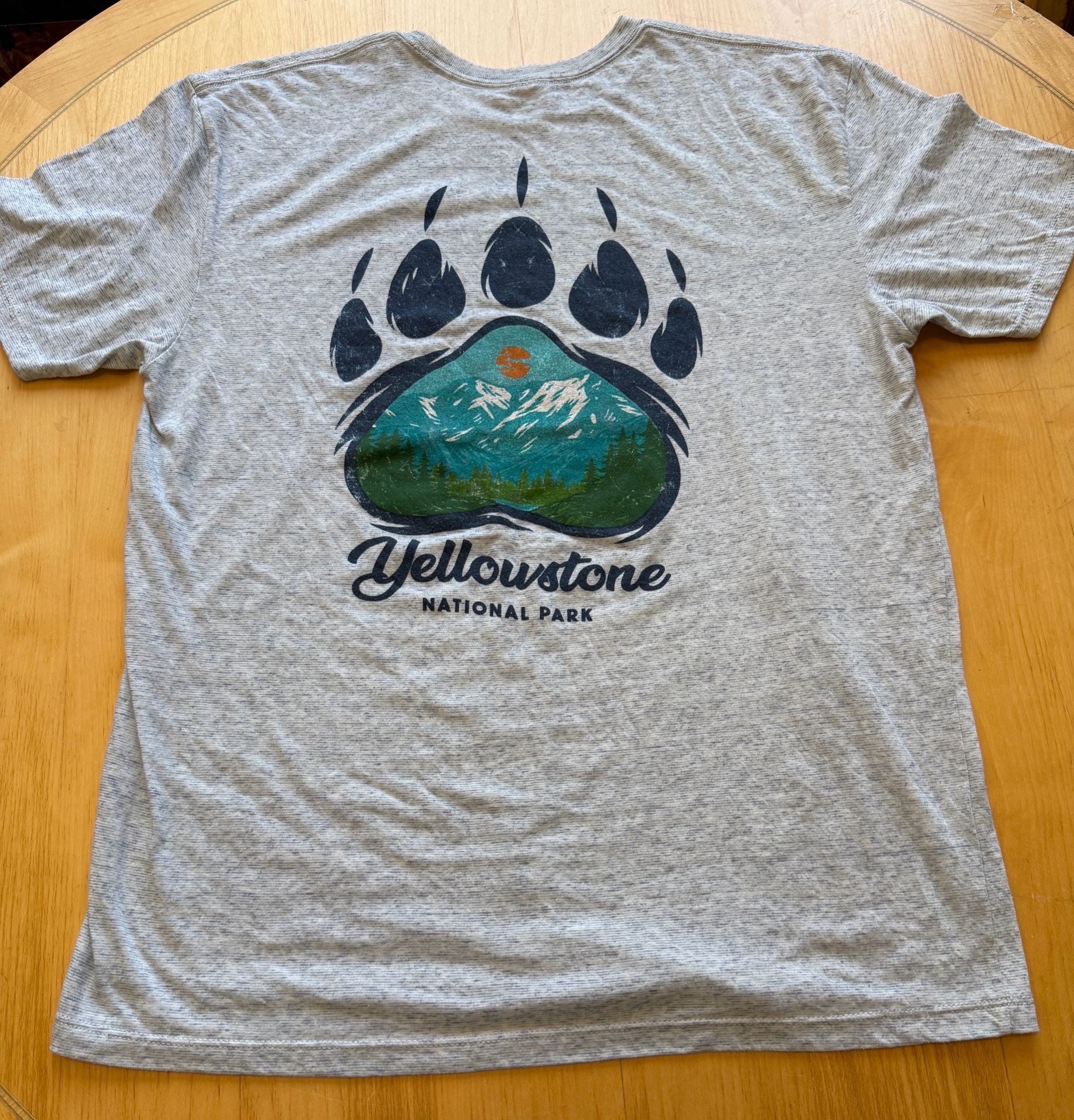 Pacific Yellowstone National Park T-Shirt Size L Gray Bear Paw Mountain 4