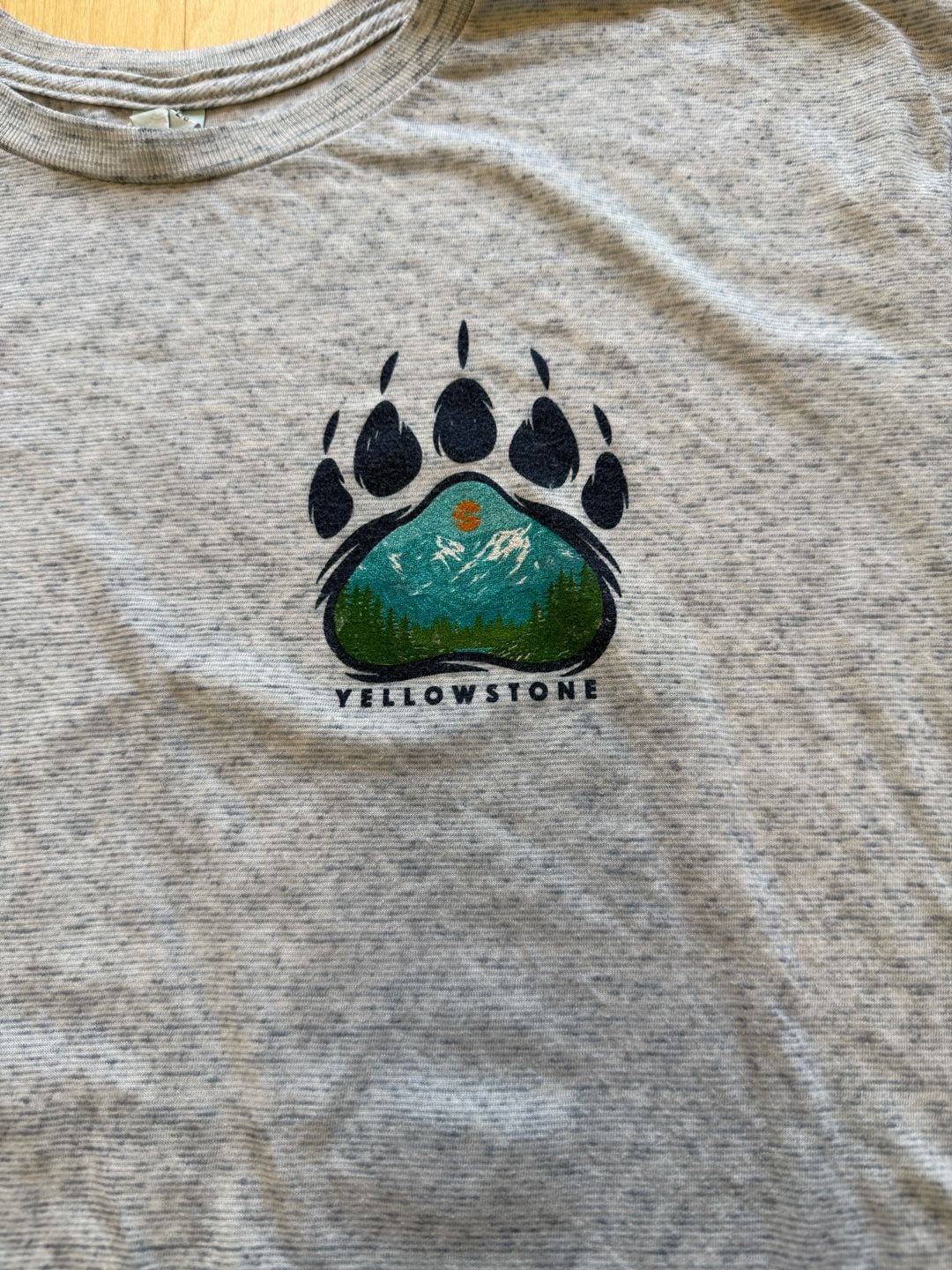 Pacific Yellowstone National Park T-Shirt Size L Gray Bear Paw Mountain 5