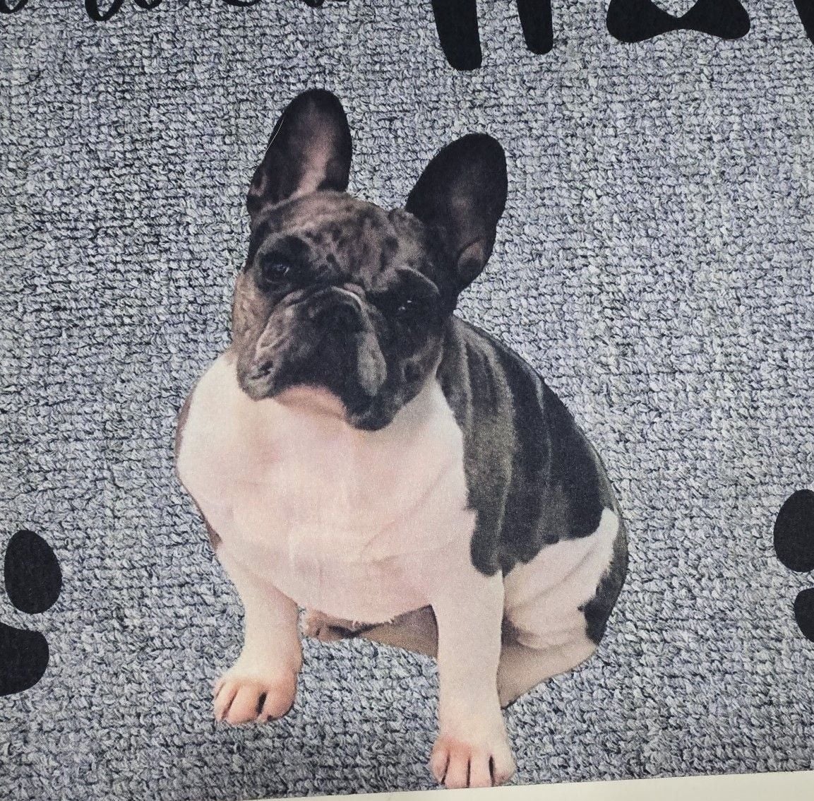 French Bulldog Doormat 2