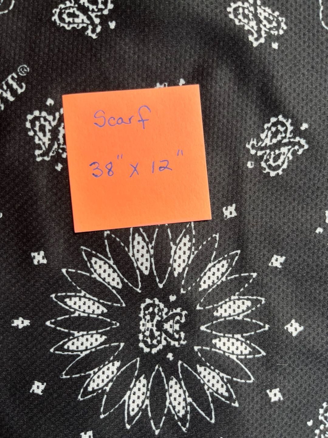 Scarf-Black White Paisley 2