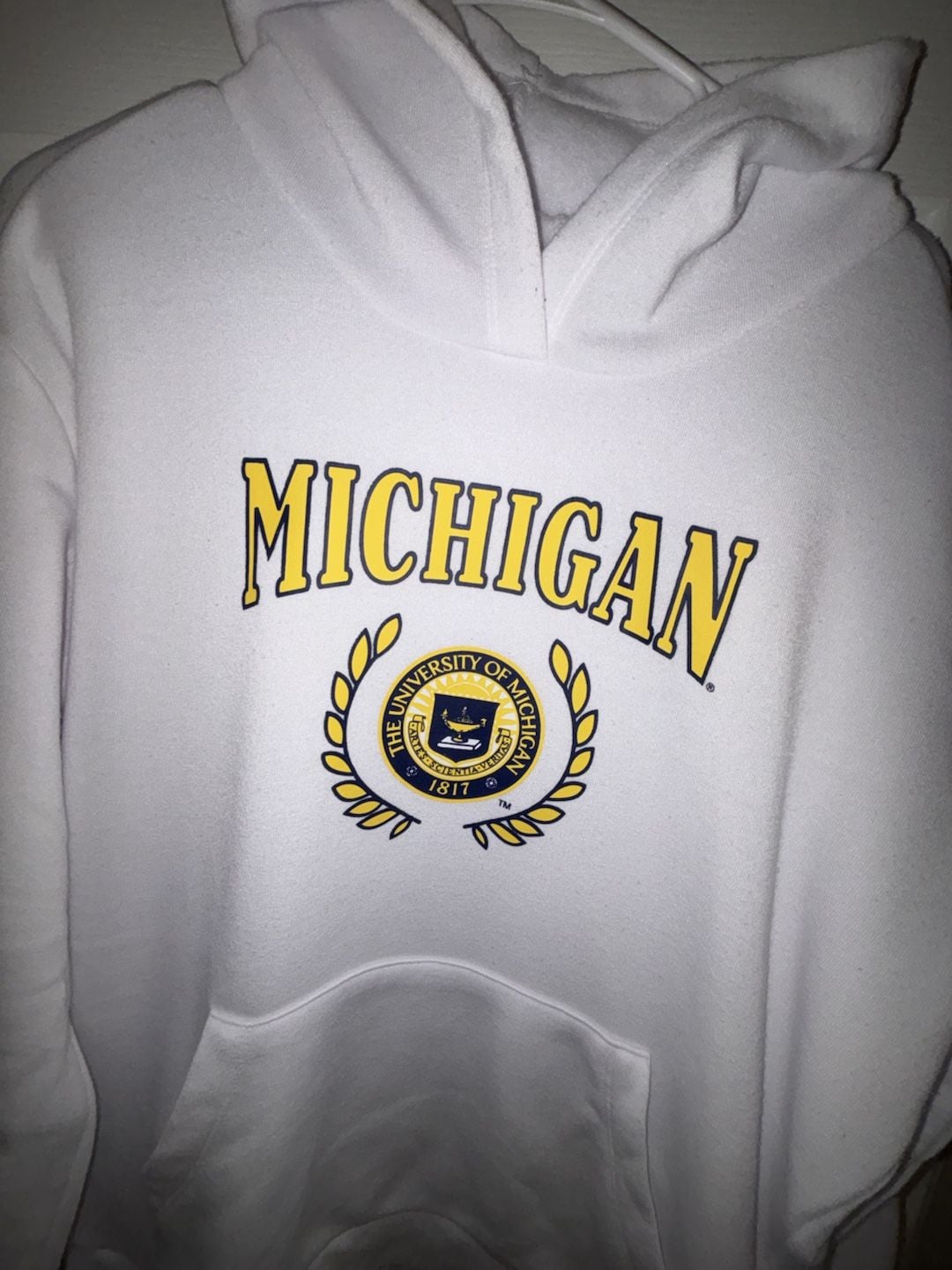 University of Michigan Hoodie 3