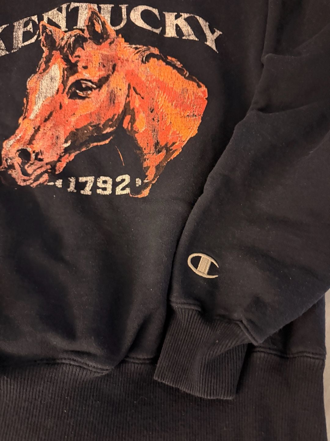 Horse Sweater Champion Kentucky Equestrian Sweatshirt Size S Navy Blue Crewneck 4