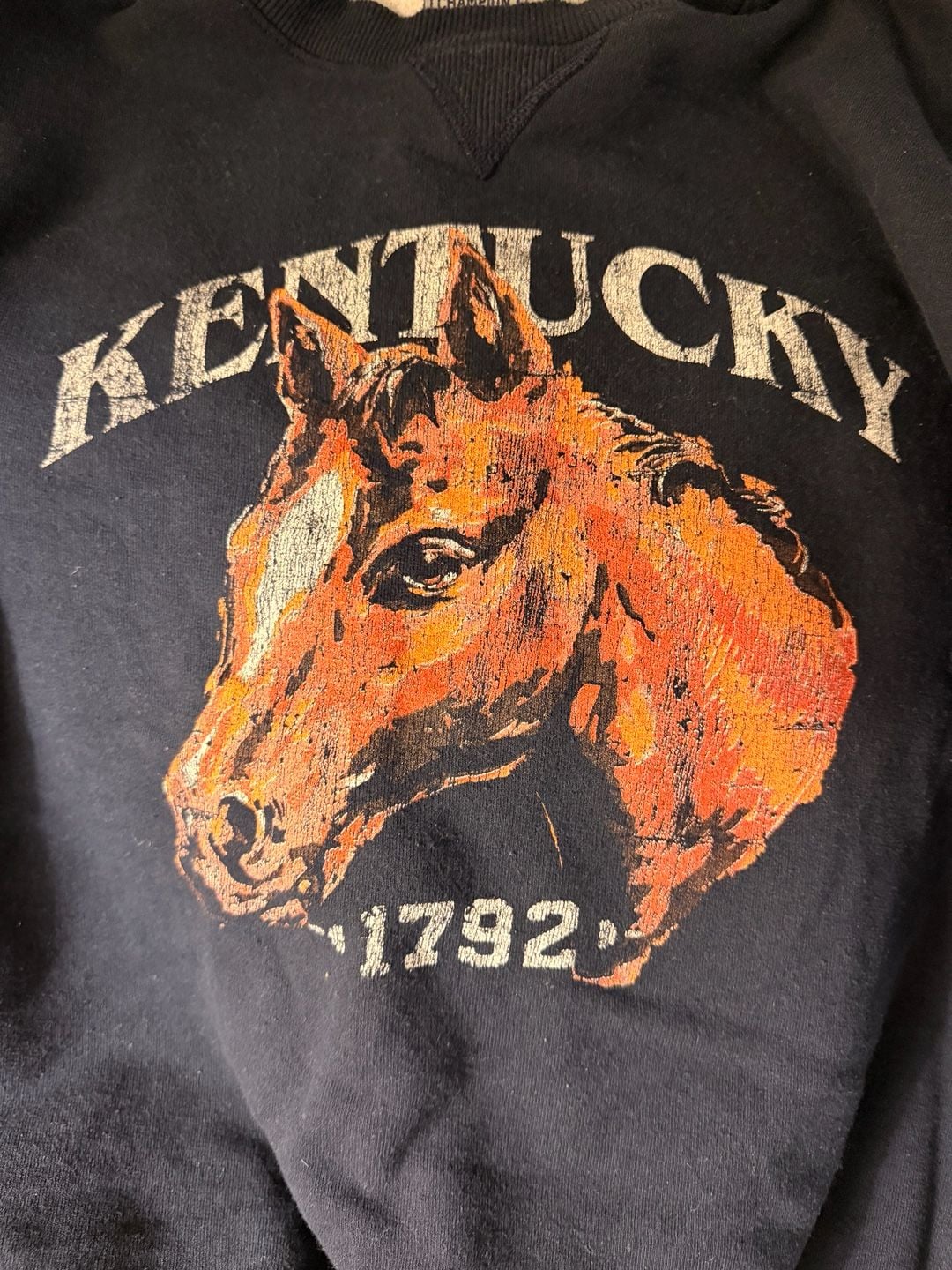 Horse Sweater Champion Kentucky Equestrian Sweatshirt Size S Navy Blue Crewneck 5