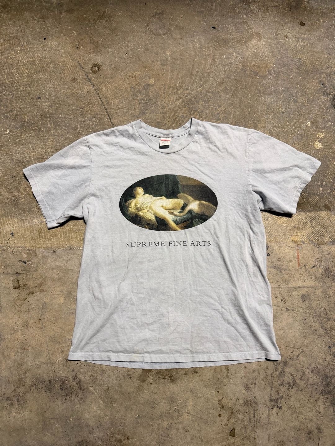 Supreme Fine Arts Leda and the Swan T-Shirt Size L Light Blue 1