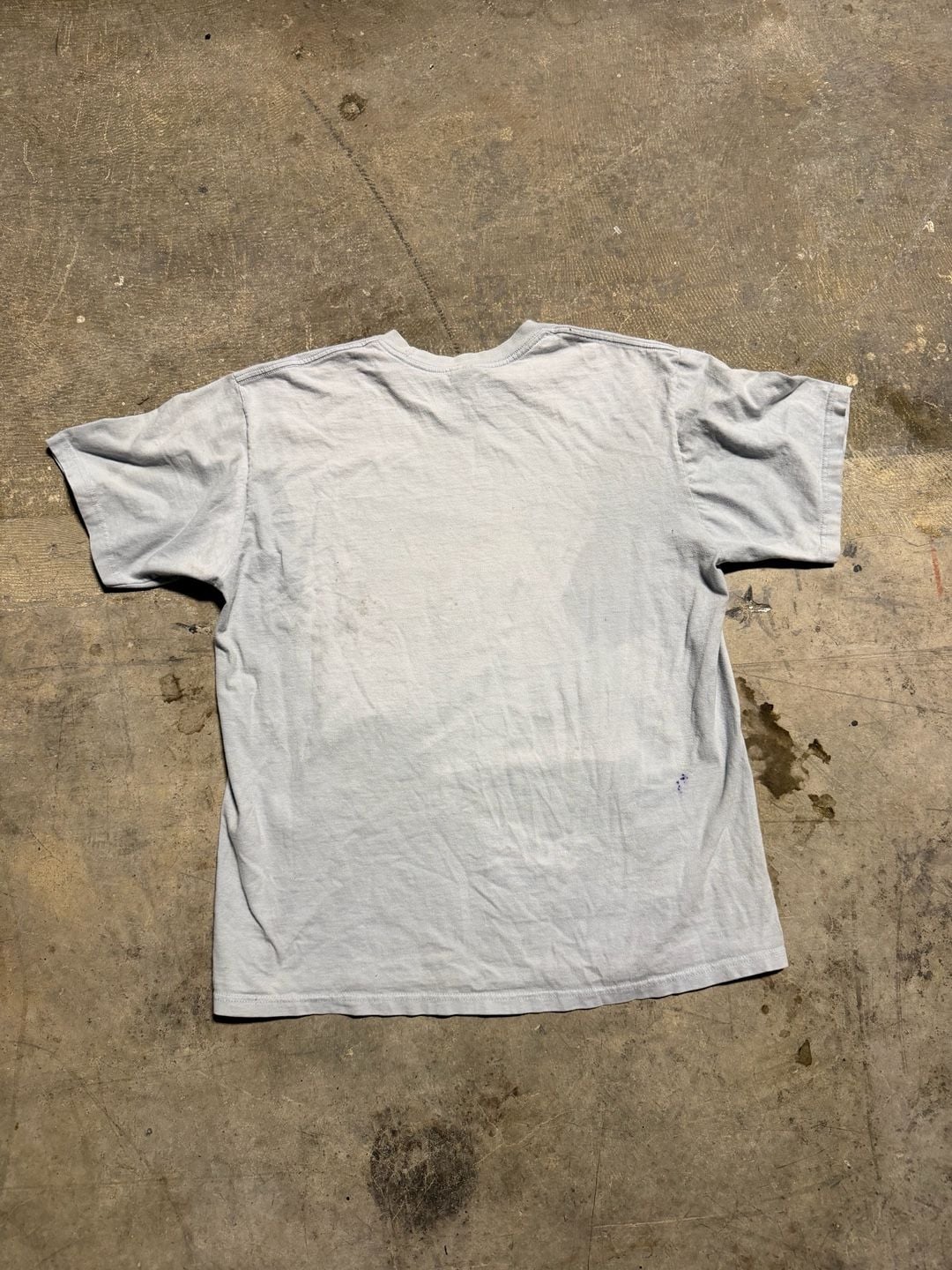 Supreme Fine Arts Leda and the Swan T-Shirt Size L Light Blue 6