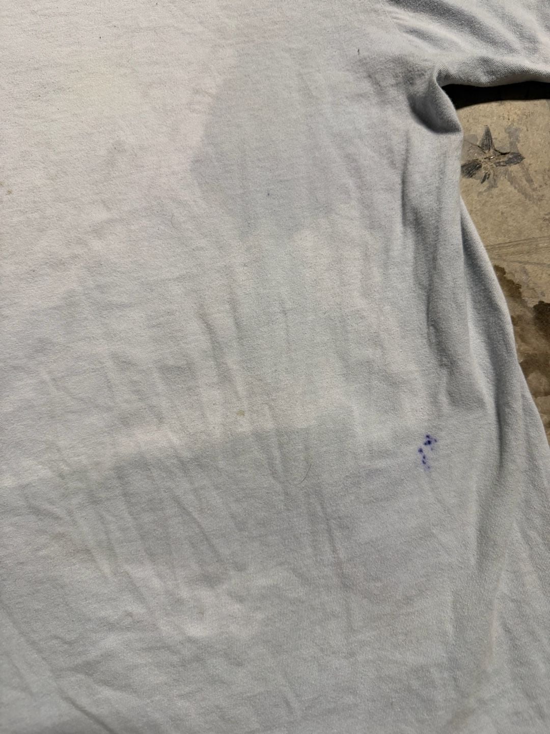 Supreme Fine Arts Leda and the Swan T-Shirt Size L Light Blue 7