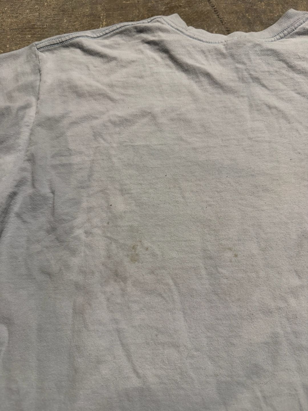 Supreme Fine Arts Leda and the Swan T-Shirt Size L Light Blue 8