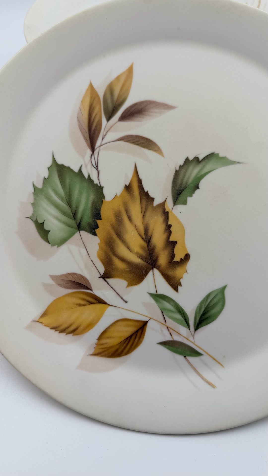 Set of 4 Vintage Harmony House Autumn Haze Melmac Melamine Dinner Plates Fall Leaves 3