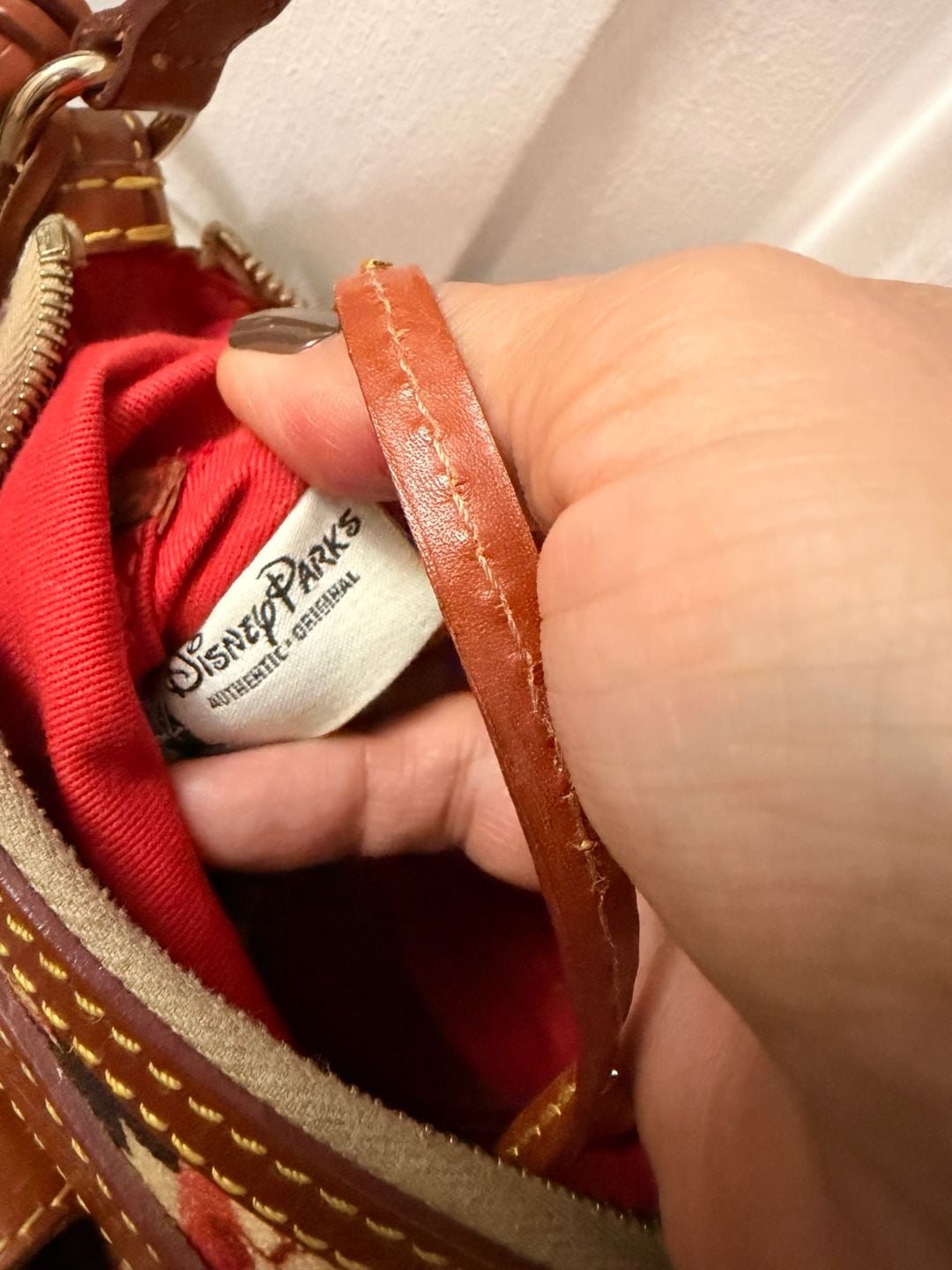 Dooney & Bourke Disney Parks Sketch Crossbody Bag 8