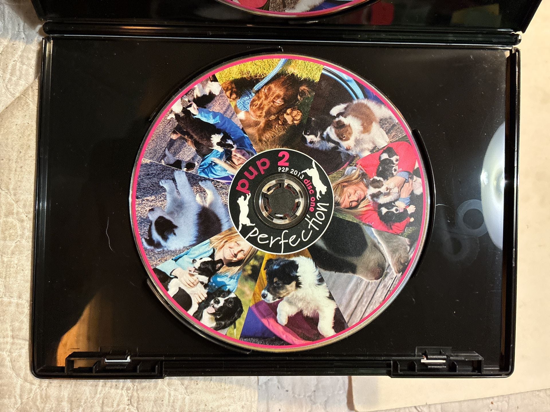 Pup 2 Perfection: A Guide To Raising Your Puppy 2 Perfection DVD Set with Lauren 4