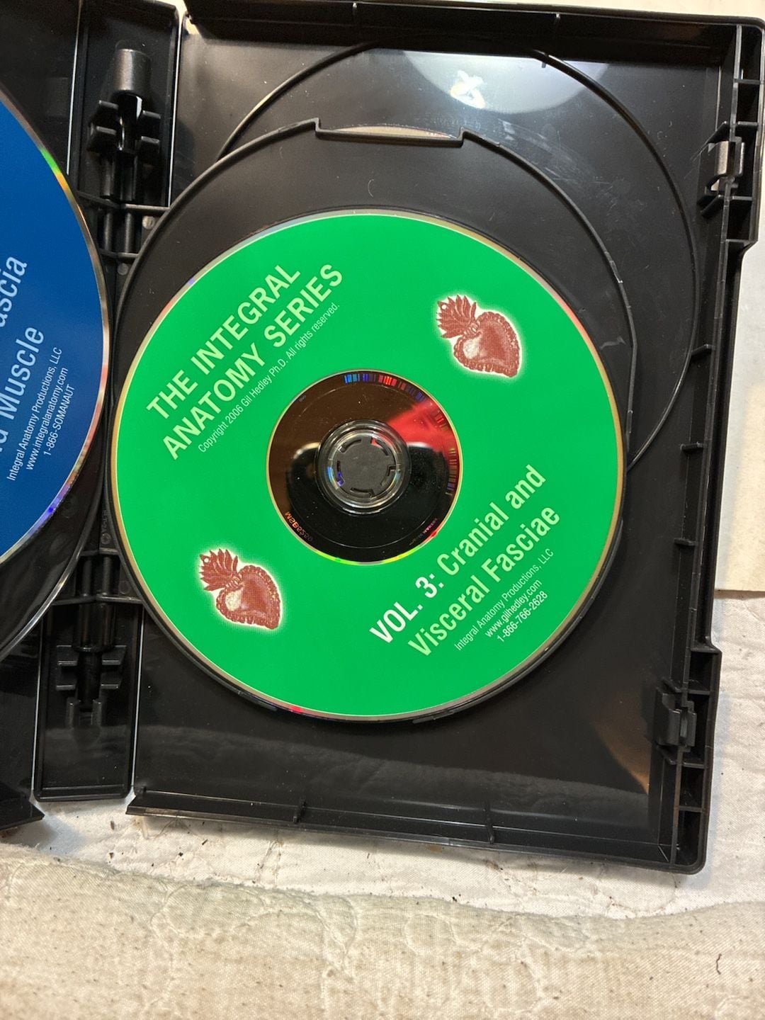 The Integral Anatomy Series Four Volume DVD Set Gil Hedley 5